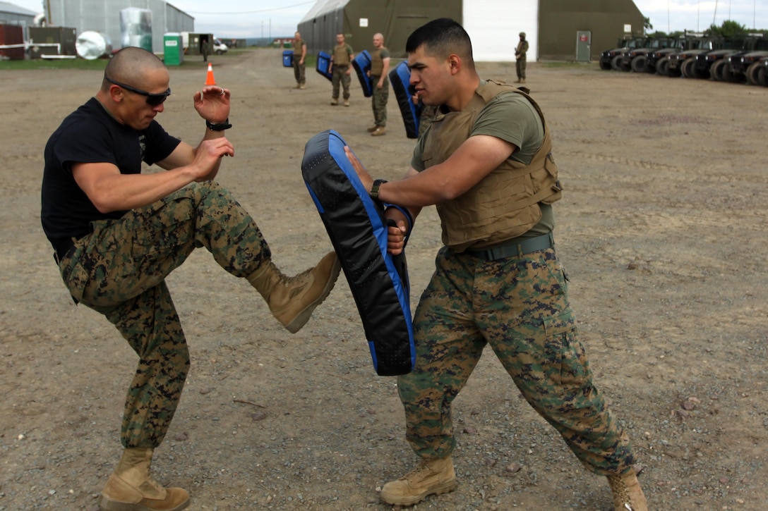 Cpl.  Eric Franco, an assaultman with scout platoon, Headquarters and Service Company, 1st Tank Battalion, demonstrates a front kick during a Marine Corps Martial Arts training exercise at Babadag Training Area, May 18. Franco has been assigned as the lead martial arts instructor responsible for training Romanian Marines and soldiers during peacekeeping operations training.