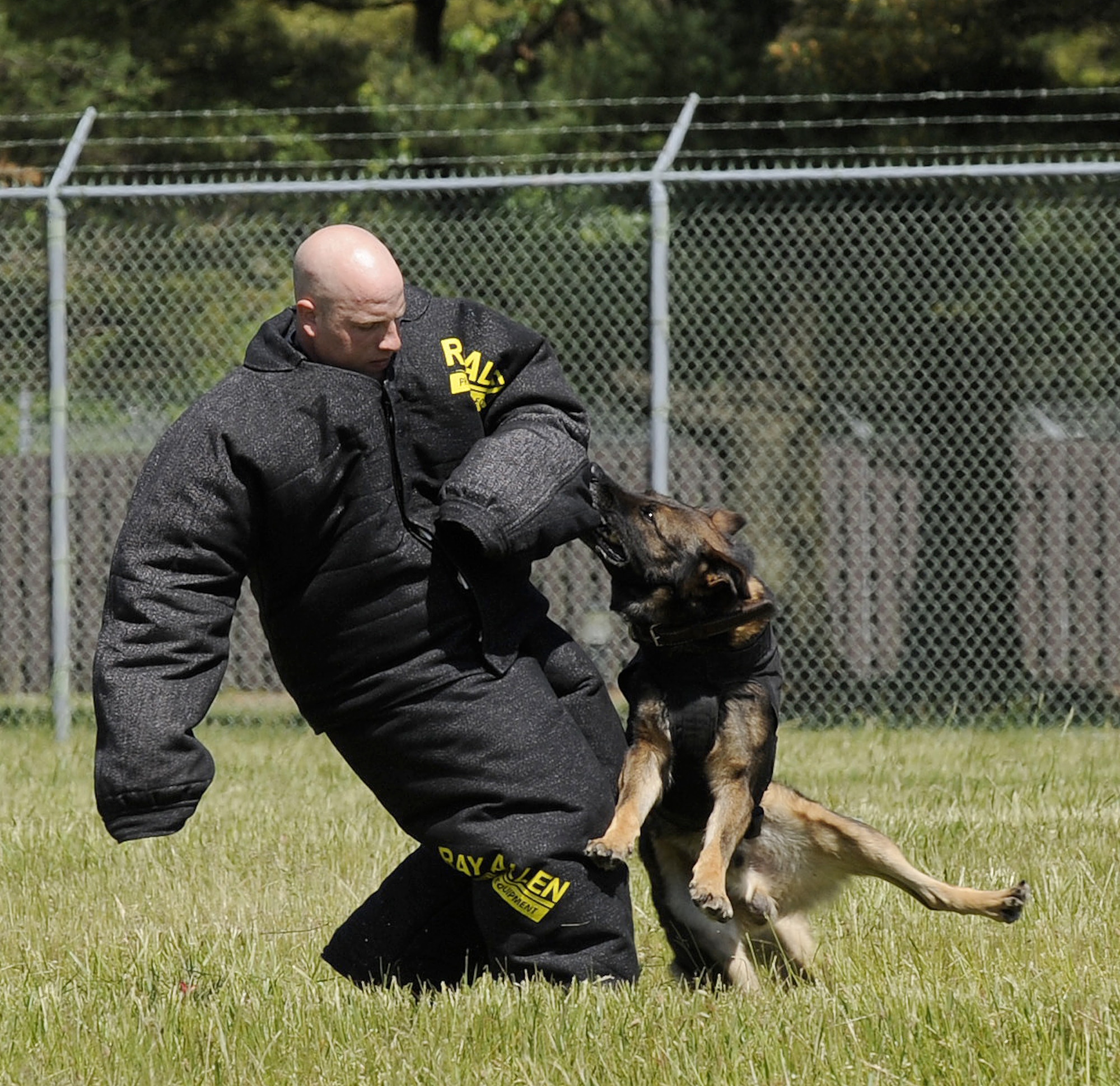 Senior Airman Sean Schwartz, 87th Security Forces Squadron, military working dog handler, is tackled by a police K-9 during the handler protection competition at Joint Base McGuire-Dix-Lakehurst May 13.  The dogs are trained to tackle a fleeing suspect and hang on to them until a police officer arrives on the scene.(U.S. Air Force photo/Carlos Cintron)
