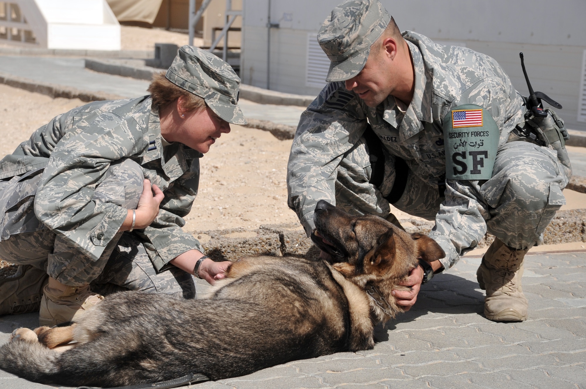 Capt. Nancy Lester, public health officer and licensed veterinarian with the 380th Expeditionary Medical Group, does a check-up with a military working dog at the 380th Expeditionary Security Forces Squadron operations area April 20, 2010, at a non-disclosed base in Southwest Asia. Captain Lester is deployed from the 86th Medical Group at Ramstein Air Base, Germany, and her hometown is Saint Francis, Wisc. (U.S. Air Force Photo/Master Sgt. Scott T. Sturkol/Released)