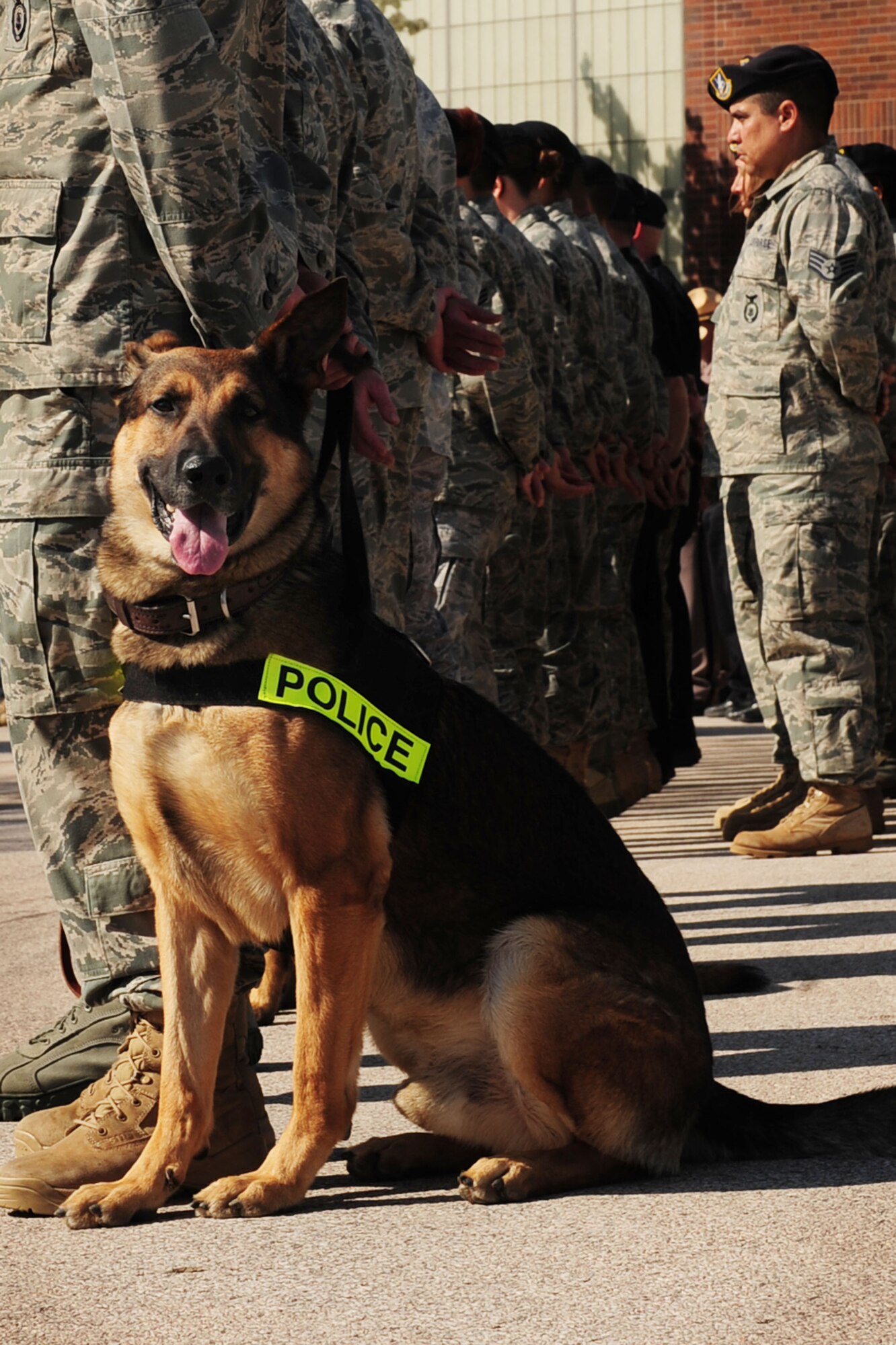 ELLSWORTH AIR FORCE BASE, S.D. -- A 28th Security Forces Squadron military working dog sits during the National Police Week Retreat ceremony, May 14.  The United States military uses of dogs in police work began in 1942 with nine dogs in the United States Army. (U.S. Air Force photo/Airman 1st Class Corey Hook) 