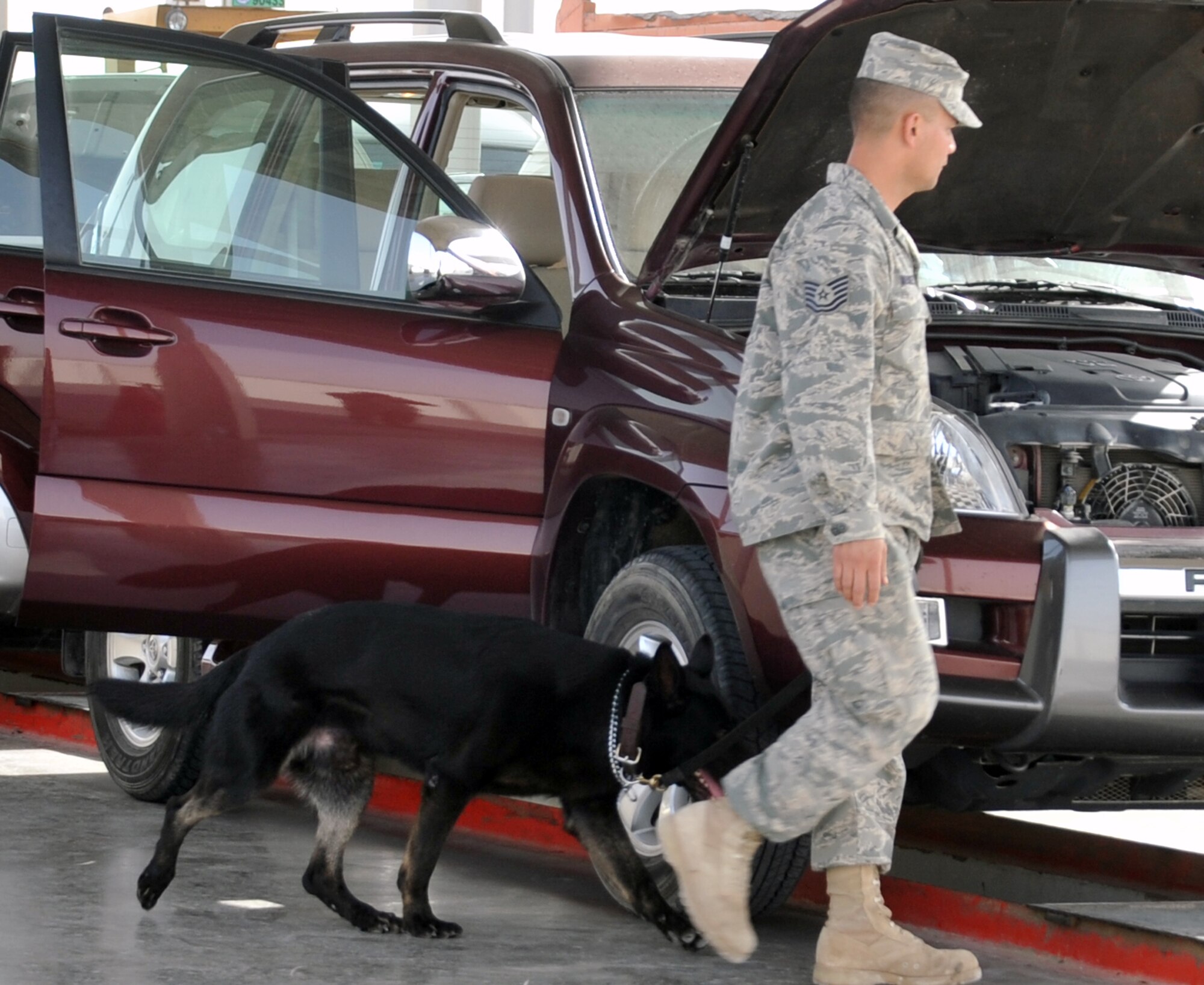 Tech. Sgt. Javier Mendez, and his military working dog Nero, work at the vehicle search area for the 380th Air Expeditionary Wing at a non-disclosed base in Southwest Asia on May 18, 2010. Both Sergeant Mendez and Nero work as a military working dog team with the 380th Expeditionary Security Forces Squadron and are deployed from the 374th Security Forces Squadron at Yokota Air Base, Japan. Sergeant Mendez' hometown is Los Angeles, Calif. (U.S. Air Force Photo/Master Sgt. Scott T. Sturkol/Released)