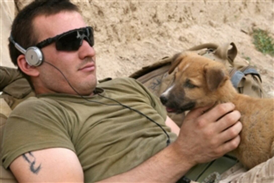 U.S. Marine Corps Lance Cpl. James R. Borzillieri plays with a puppy during his break between patrols in Marja, Afghanistan, May 9, 2010. Borzillieri is assigned to Mortar Platoon, Weapons Company, 1st Battalion, 6th Marine Regiment. U.S. Marines and Afghan soldiers went out on a 48-hour operation, where they manned checkpoints and conducted patrols around the market and residential areas in the center of the city.