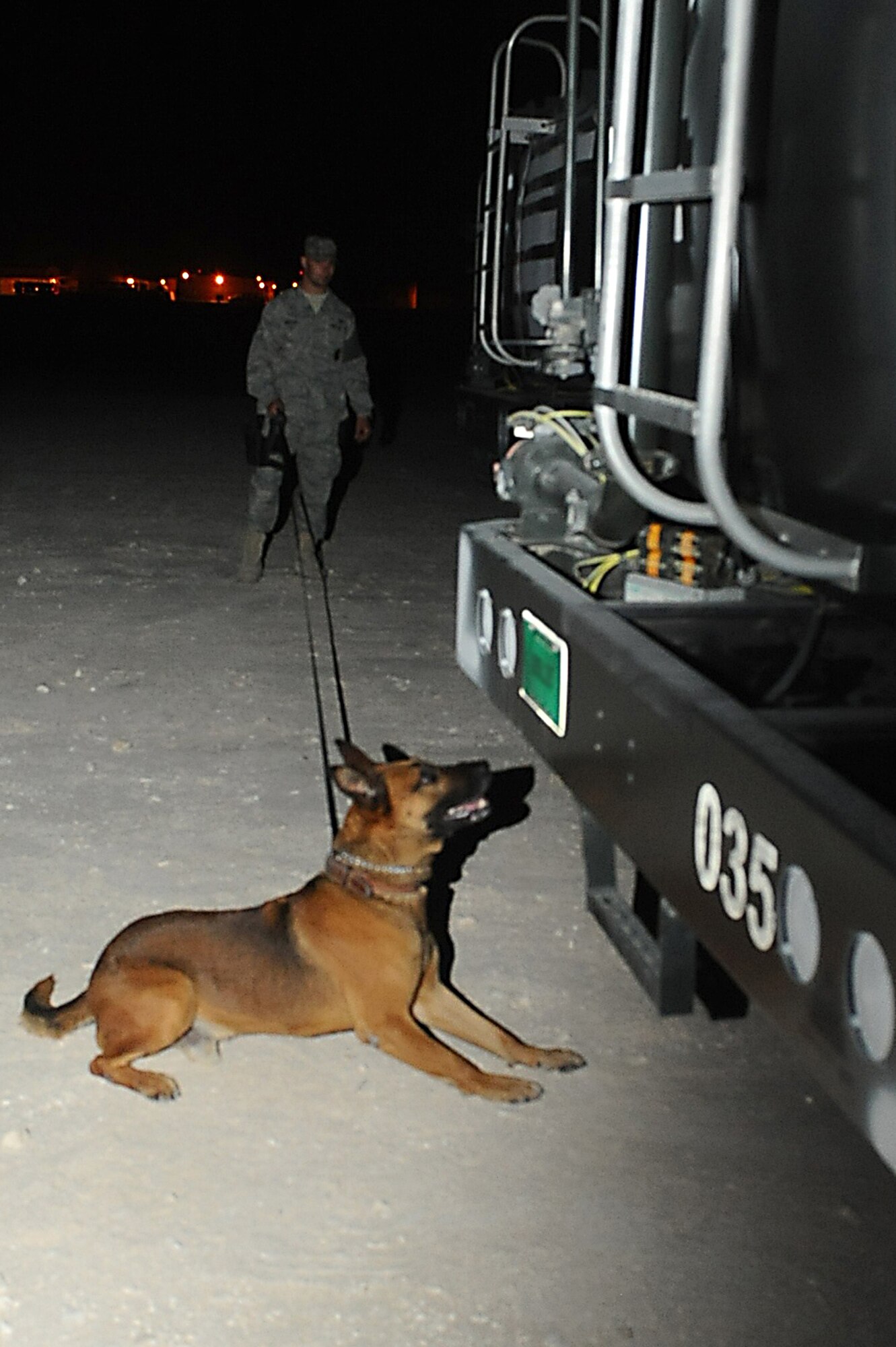 Buddy, 379th Expeditionary Security Forces Squadron military working dog, sits down to signal finding an explosive device during a training exercise at a non-disclosed Southwest Asia location April 1, 2010. (U.S. Air Force photo by Senior Airman Kasey Zickmund)[RELEASED]