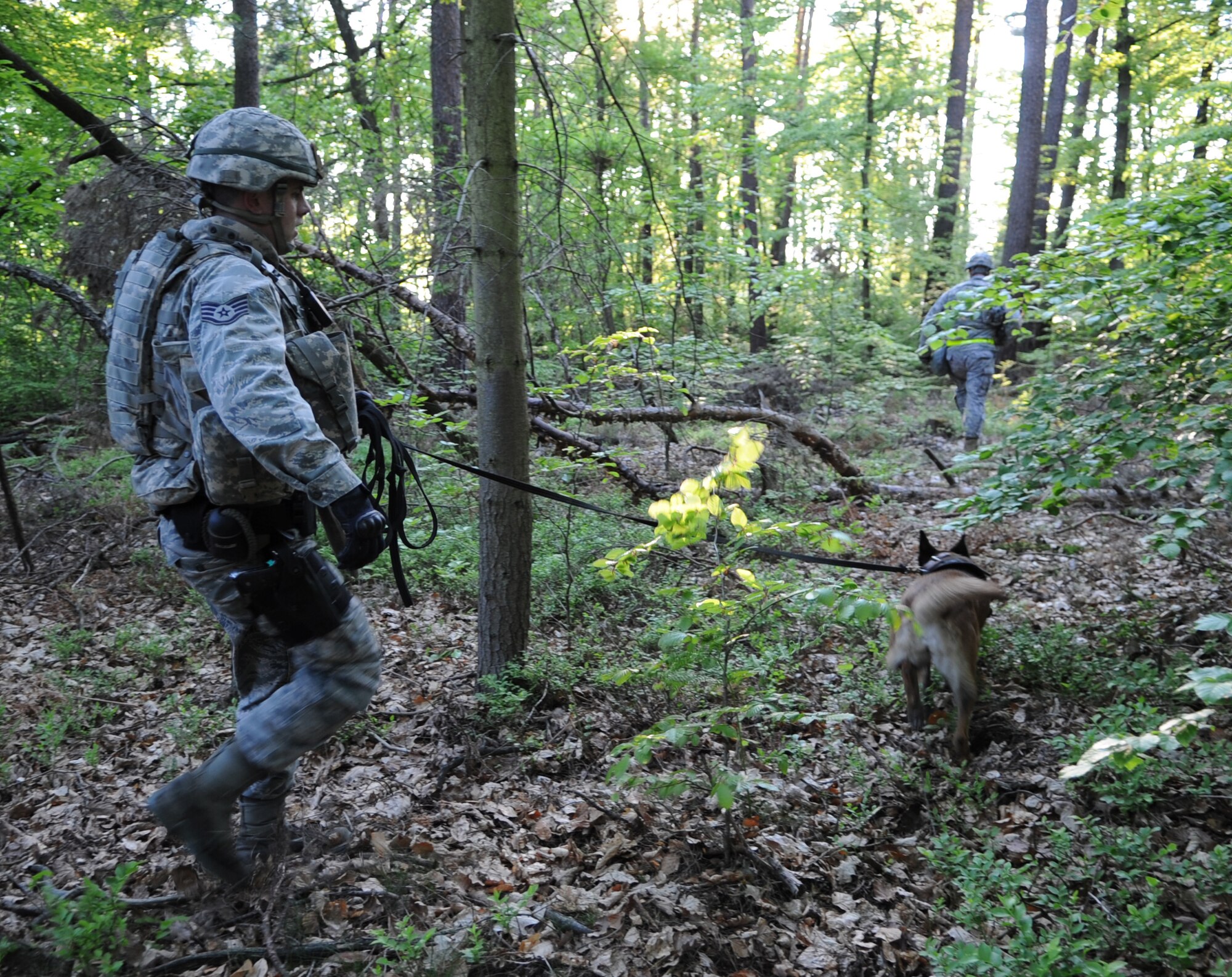 U.S. Air Force Staff Sgt. Daren Marshall, 86th Security Forces Squadron K-9 handler, Olivia, military working dog, and Tech. Sgt. Zebediah  Handeland, Security Forces member, search for base runners during an Operational Readiness Exercise (ORE), Ramstein Air Base, Germany, May 23, 2010. An ORE incorporates a series of events that evaluate a wing's ability to perform accurately in a timely manner. (U.S. Air Force Photo by Airman 1st Class Caleb Pierce)