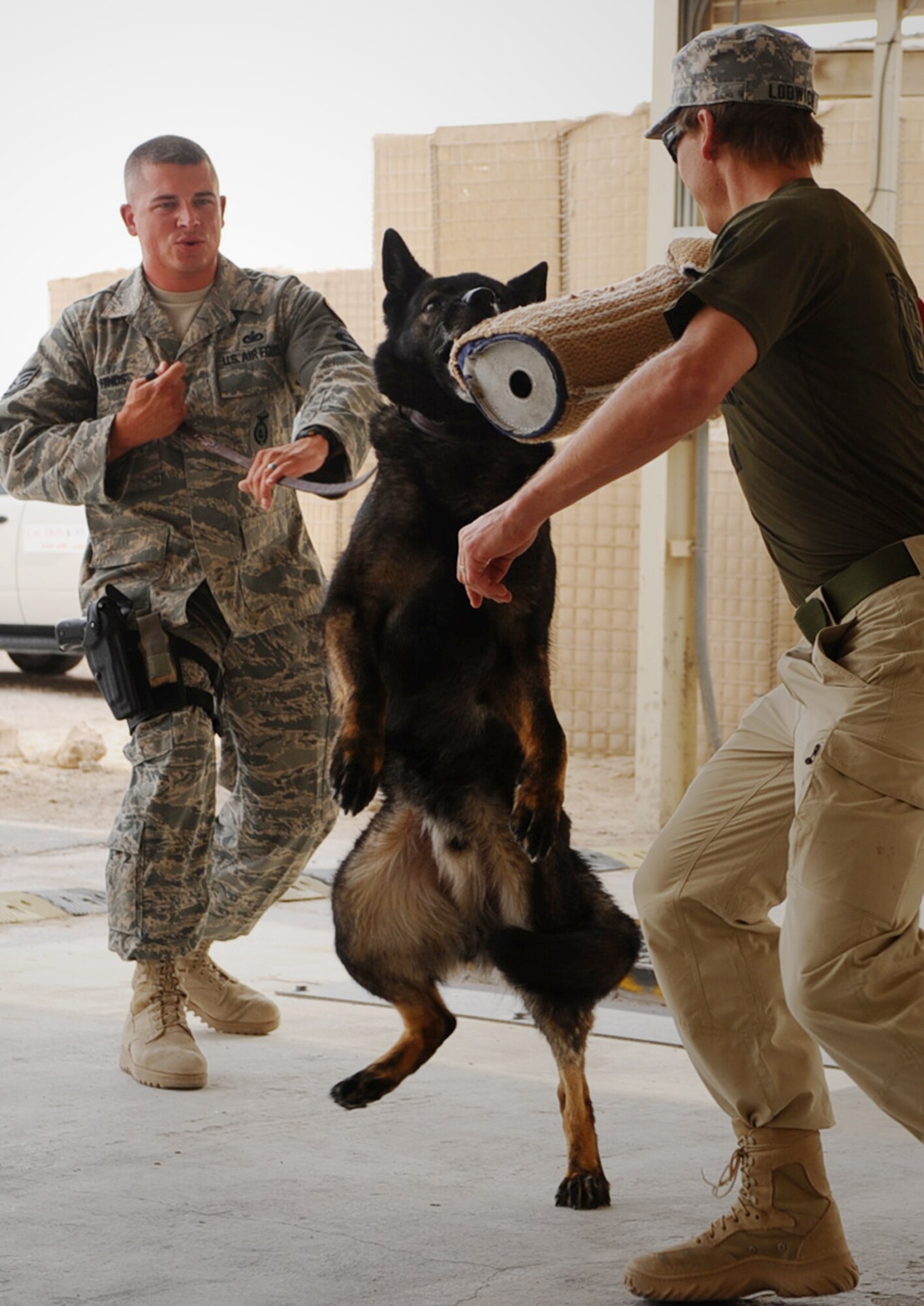 Staff Sgt. Christopher Hinds, 379th Expeditionary Security Forces Squadron military working dog handler, holds the leash of Ajax, 379 ESFS military working dog, while attacking Todd Lodwick, a visiting U.S. Olympic Ski Team medalist, during a demonstration at a non-disclosed Southwest Asia location April 9, 2010. Sergeant Hinds and Ajax are deployed from Misawa Air Base, Japan. (U.S. Air Force photo by Senior Airman Kasey Zickmund)
