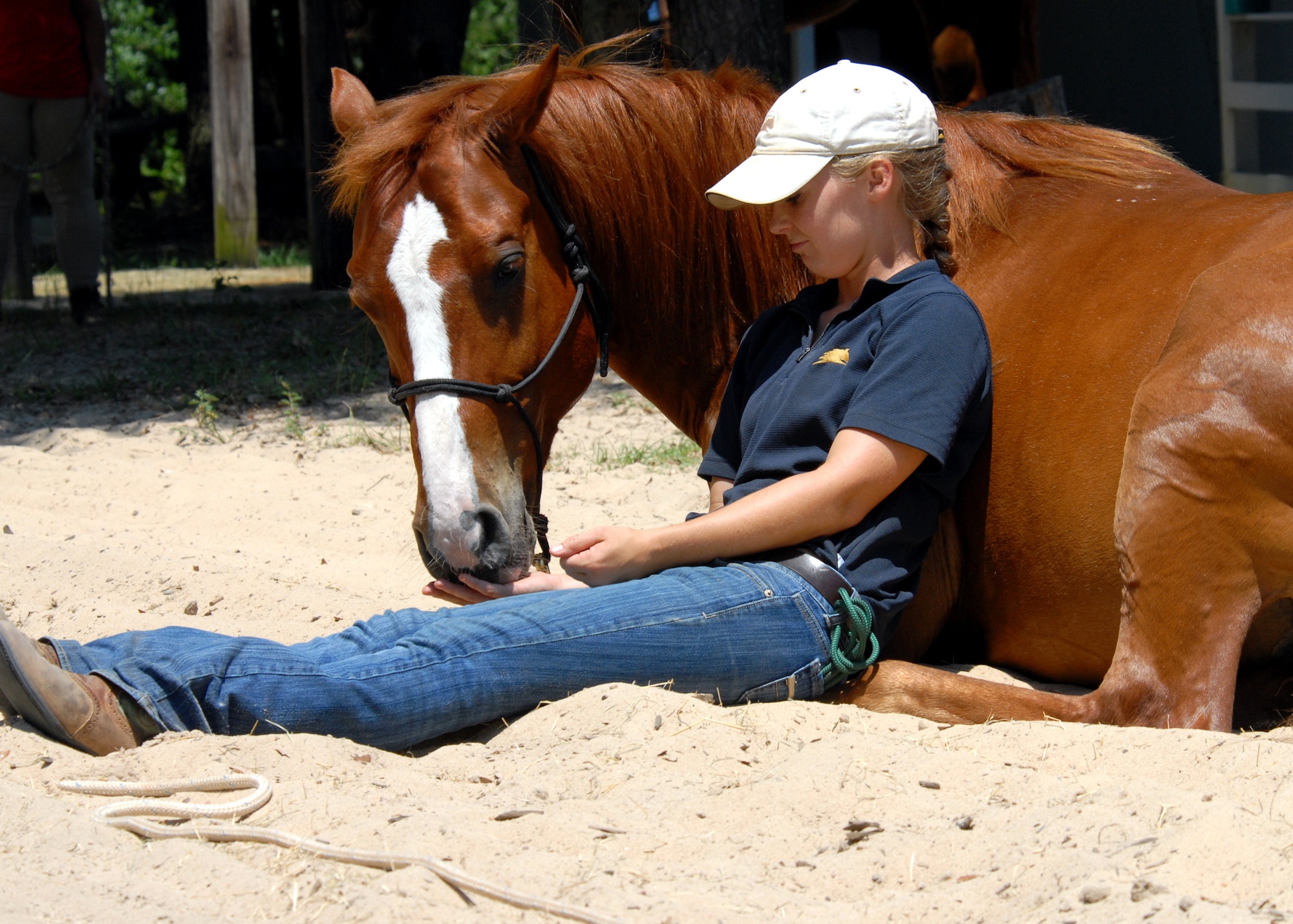 A trainer feeds her horse during the Eglin Sand and Spurs club open house May 22. The club provided pony rides for kids and riding and training demonstrations.  Those who attended got an up close and hands-on experience with many of the different breeds of horses housed at the stables on base.  (U.S. Air Force photo/Samuel King Jr.)
