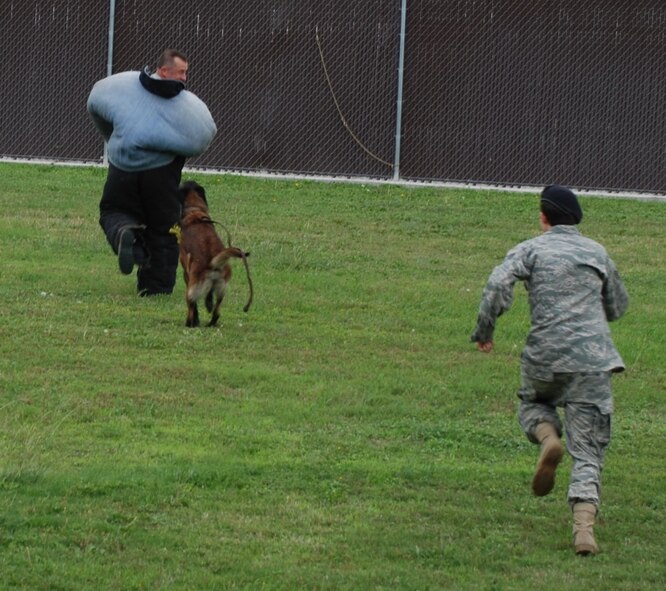 LAUGHLIN AIR FORCE BASE, Texas – Col. Andrew Cernicky, 47th Mission Support Group commander, participates in a military working dog demonstration with Xavier, one of Laughlin’s military working dogs, as Staff Sgt. Britney Simpson,47th Security Forces Squadron, makes sure the demonstration doesn’t get out of hand. (U.S. Air Force photo by Airman 1st Class Blake Mize) 