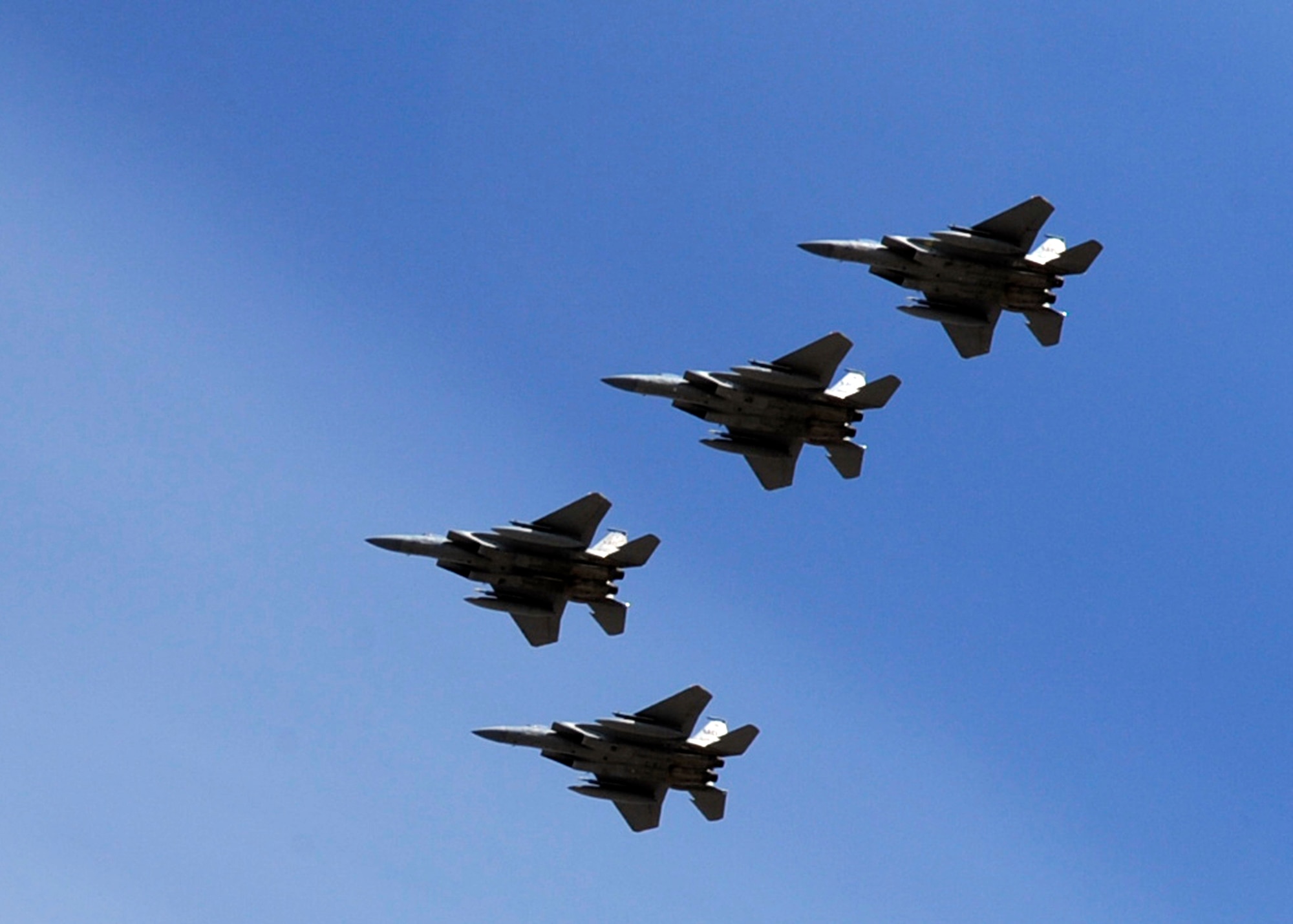 MOUNTAIN HOME AIR FORCE BASE, Idaho – Members of the 390th Fighter Squadron Wild Boars fly their F-15C Eagles over the base during a final flight tribute in Idaho May 21. The squadron has been part of Mountain Home since 1992 with a history that dates back to World War II. (U.S. Air Force photo by Airman 1st Class Angelina Drake)
