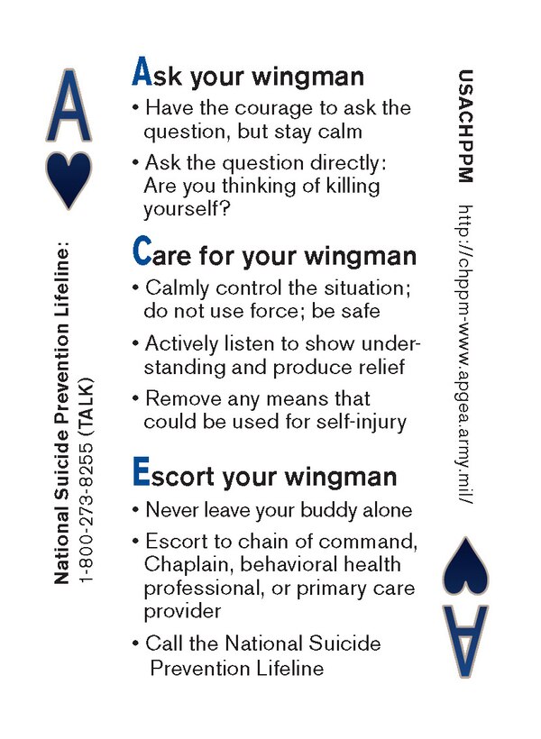A.C.E.: Ask your wingman, Care for your wingman, Escort your wingman