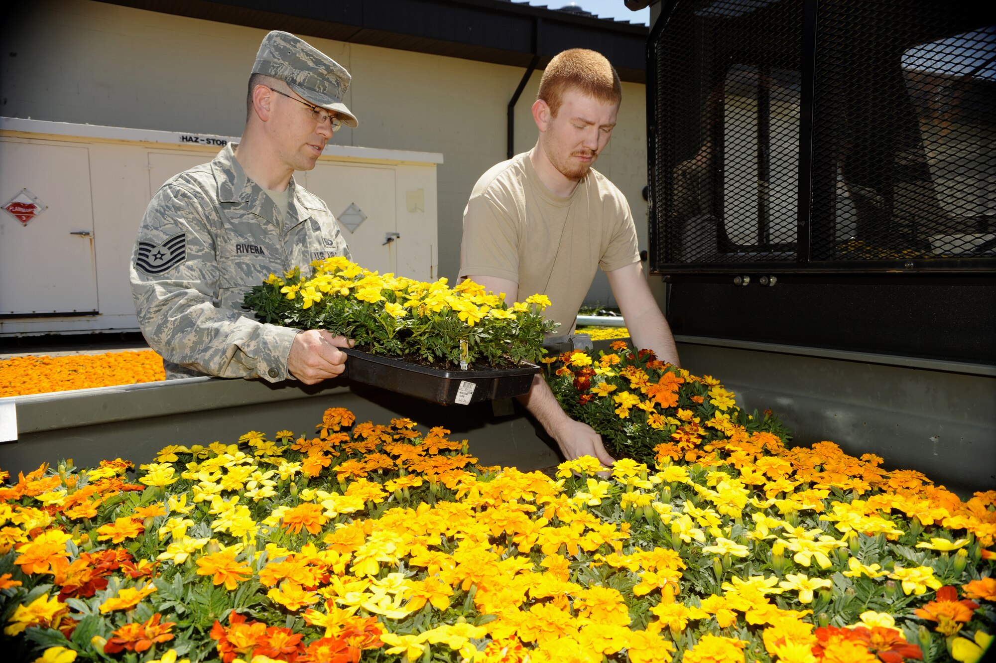 Tech. Sgt. Oscar Rivera, 514th Air Mobility Wing chaplain's assistant, and Charles Hertnek, 514th AMW automation clerk, fill their vehicle with yellow and red marigolds at the Self Help Center. They planted these flowers around the wing building in celebration of Base Prdie Day May 20 here. (U.S. Air Force photo/Carlos Cintron)
