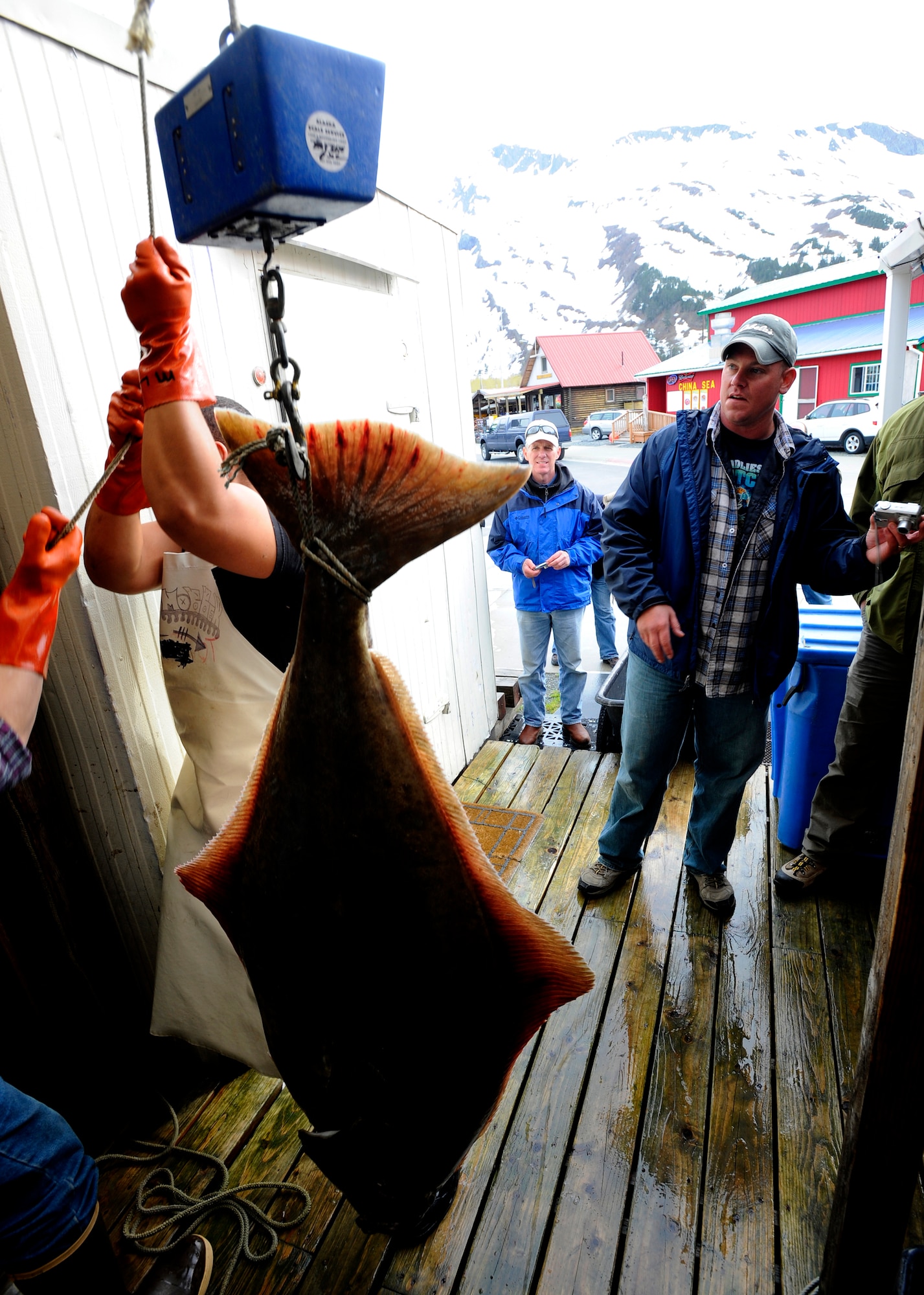 Master Sgt. Aaron Huber, 140th Calvary, Airborne, looks on as his Halibut wins the biggest fish in Whittier, weighing in at 93.9 pounds, during the first Alaskan Veterans Halibut Fishing Tournament May 21.  The tournament took place in Homer, Valdez and Whittier, and is the communities' way of showing their appreciation to veterans.  Forty-two boats volunteered to take 264 veterans fishing in the three cities. A $500 grand prize was given to the participant who caught the biggest fish between the three cities, and a $250 prize was given to the participant who caught the biggest fish in each city.  (U.S. Air Force photo/Staff Sgt. Brian Ferguson)