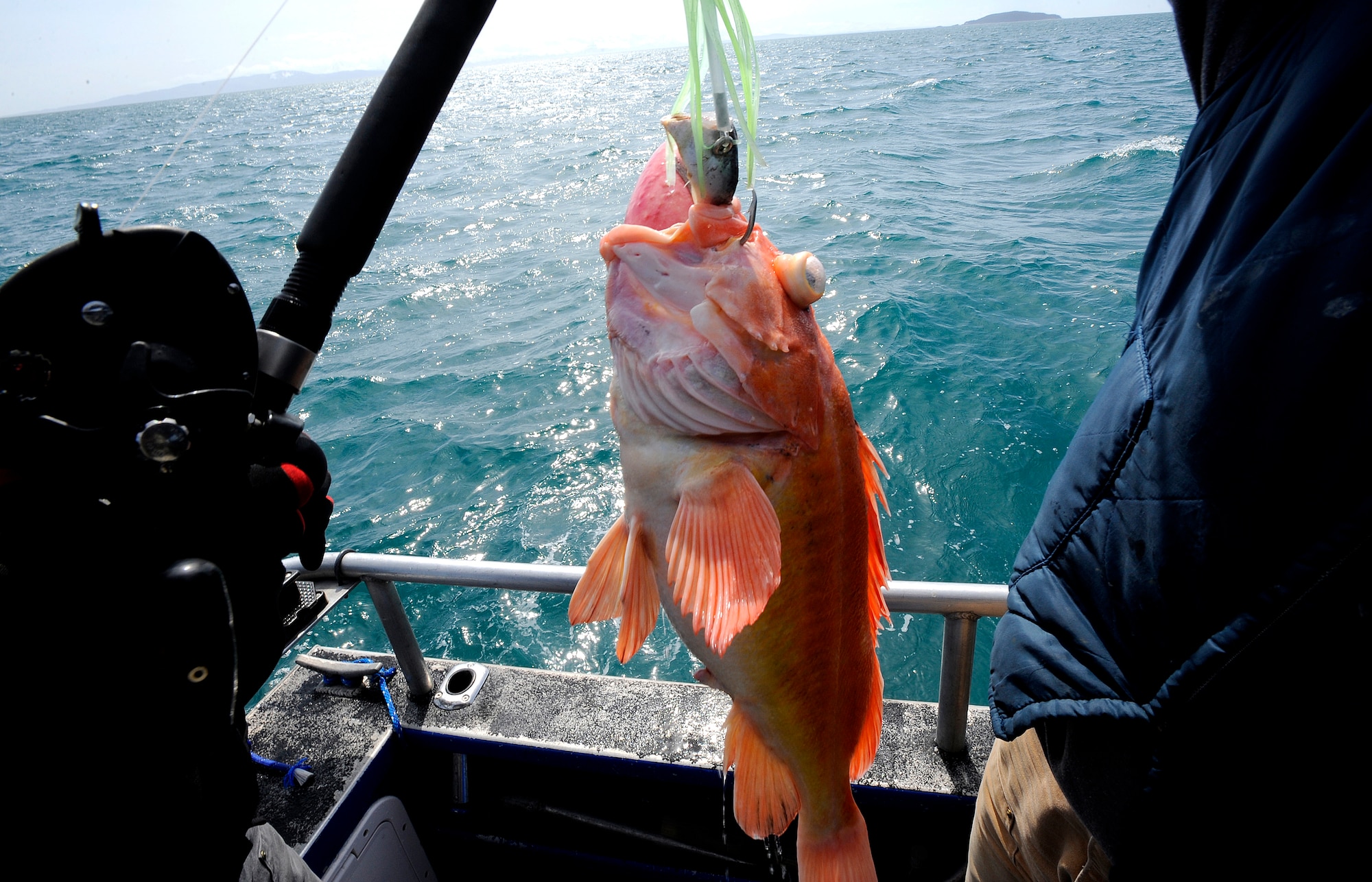 A Rockfish is pulled onto the boat during the first Alaskan Veterans Halibut Fishing Tournament May 21.  The tournament took place in Homer, Valdez and Whittier, and is the communities' way of showing their appreciation to veterans.  Forty-two boats volunteered to take 264 veterans fishing in the three cities. A $500 grand prize was given to the participant who caught the biggest fish between the three cities, and a $250 prize was given to the participant who caught the biggest fish in each city.  (U.S. Air Force photo/Staff Sgt. Brian Ferguson)