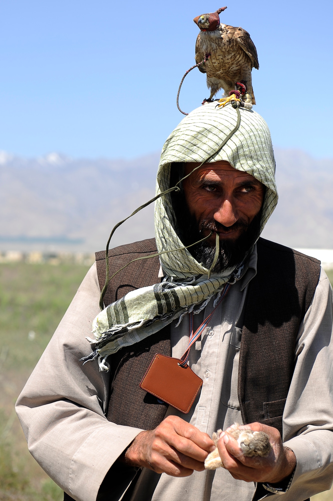 Mohammed a local contractor and his falcon Basha hold a rabbit they capture near the flight line, May 24, 2010. Afghan contractors work with the 455th Safety Office to keep wildlife from interfering with flying operations at Bagram Airfield, Afghanistan. (U.S. Air Force photo by/ Master Sgt. Jeromy K. Cross/released)








