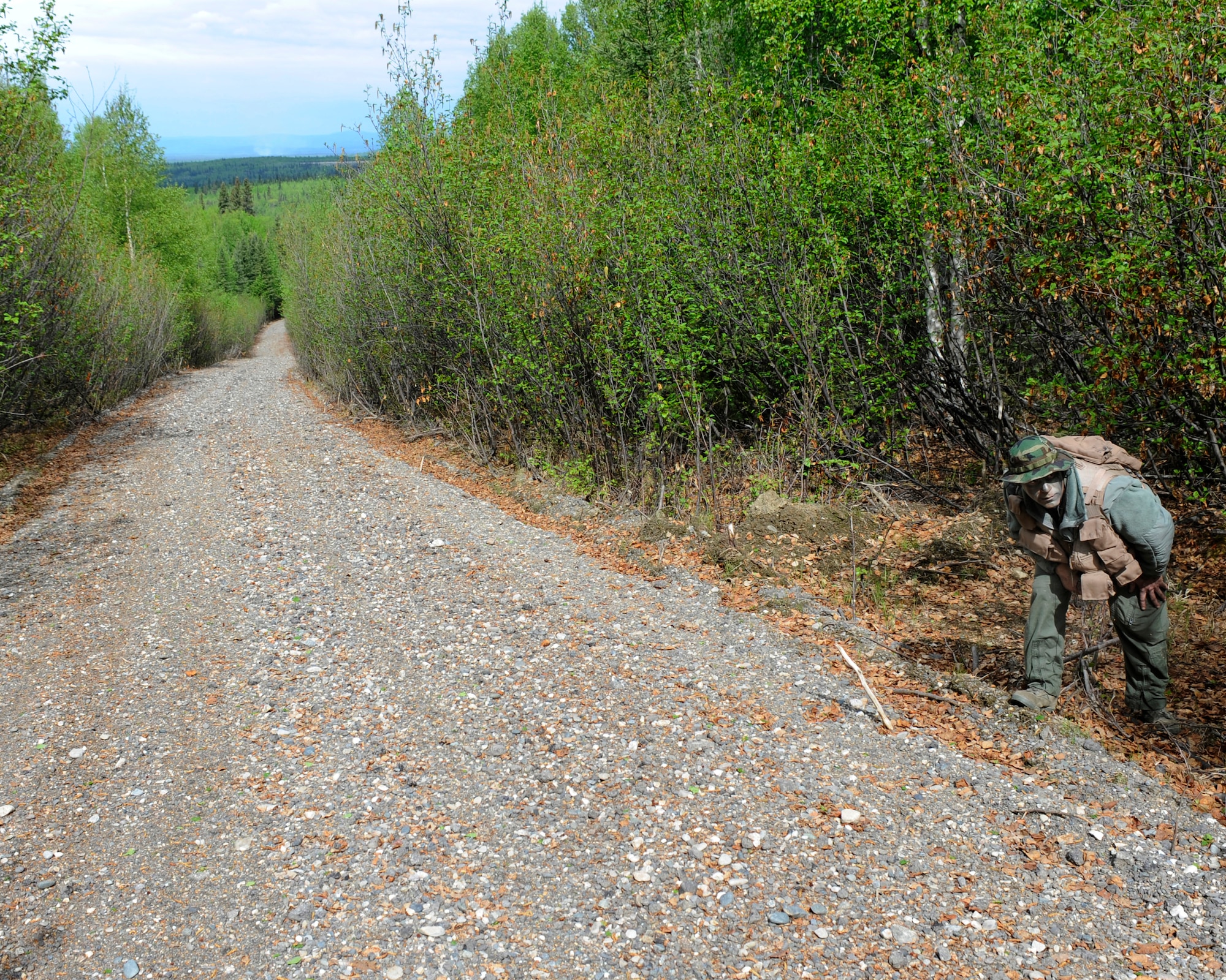 An Airman make sure no one will see him cross a road May 20, 2010, Eielson Air Force Base, Alaska. The Airman was taking part in a combat survival and evasion senario during the May operational readiness inspection. The Airman is assigned to the 168th Air Refueling Wing. (U.S. Air Force photo/Willard E. Grande II)