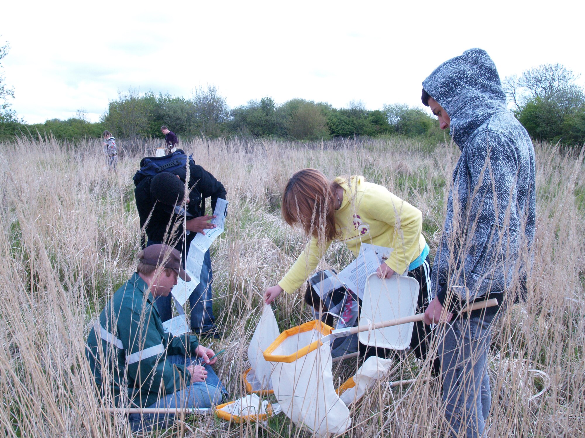 RAF MOLESWORTH, United Kingdom – Students from RAF Alconbury High School identify their collected insects with field guides here May 10. The 423rd Natural Resources Management Flight and the Cambridgeshire Wildlife Trust supported a field day for the high school students here at the RAF Molesworth county wildlife site.   