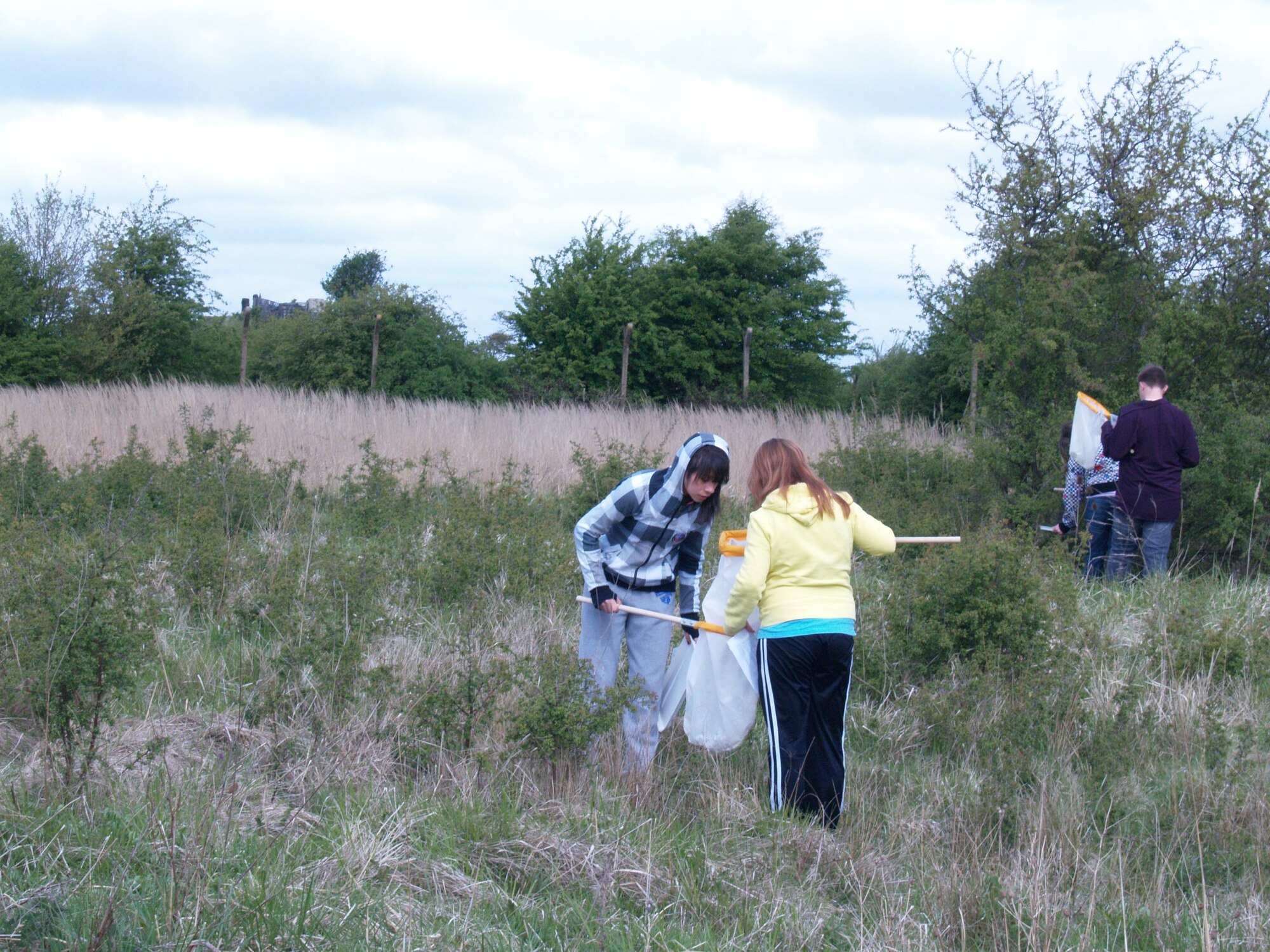 RAF MOLESWORTH, United Kingdom - Students from RAF Alconbury High School use sweeping nets here as part of a school science project to collect insects here May 10. The 423rd Natural Resources Management Flight and the Cambridgeshire Wildlife Trust supported a field day for the high school students on the RAF Molesworth county wildlife site.