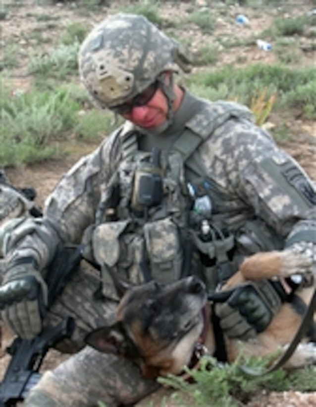 Commander of the 86th Infantry Brigade Combat Team Col. William Roy, U.S. Army, out of Jericho, Vt., pets a military working dog during an operation in Parwan province, Afghanistan, on May 11, 2010.  U.S. Army soldiers of Alpha Troop, 1st Squadron, 172nd Cavalry Regiment, 86th Infantry Brigade Combat Team visited a remote village in Parwan province to conduct a key leader engagement with village elders.  