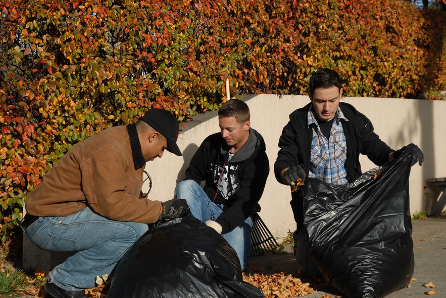 From left, Staff Sgts. Dorian Owens, Jared Bratsberg and Daniel Villela, from the 341st Logistics Readiness Squadron, bag leaves Oct. 22 during the 2010 "Day of Caring" in Great Falls, Mont. This year's "Day of Caring" is scheduled for October 14 and volunteers are encouraged to sign up for the event. (U.S. Air Force photo/Staff Sgt. Dillon White)