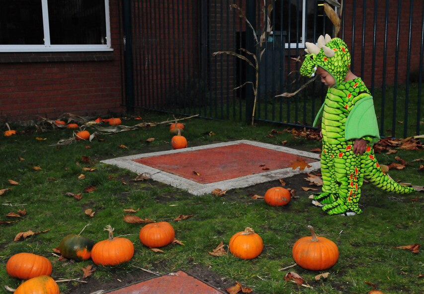 RAF MILDENHALL, England -- Aiden Wyatt, 1, searches for a pumpkin at the Fall Festival Oct. 29, 2010, held at the child development center. This was the first joint partnership event between the CDC and the parent advisory committee. Each child was given a free pumpkin and treat bag, filled with goodies from both the PAC and the CDC. (U.S. Air Force photo/Karen Abeyasekere)