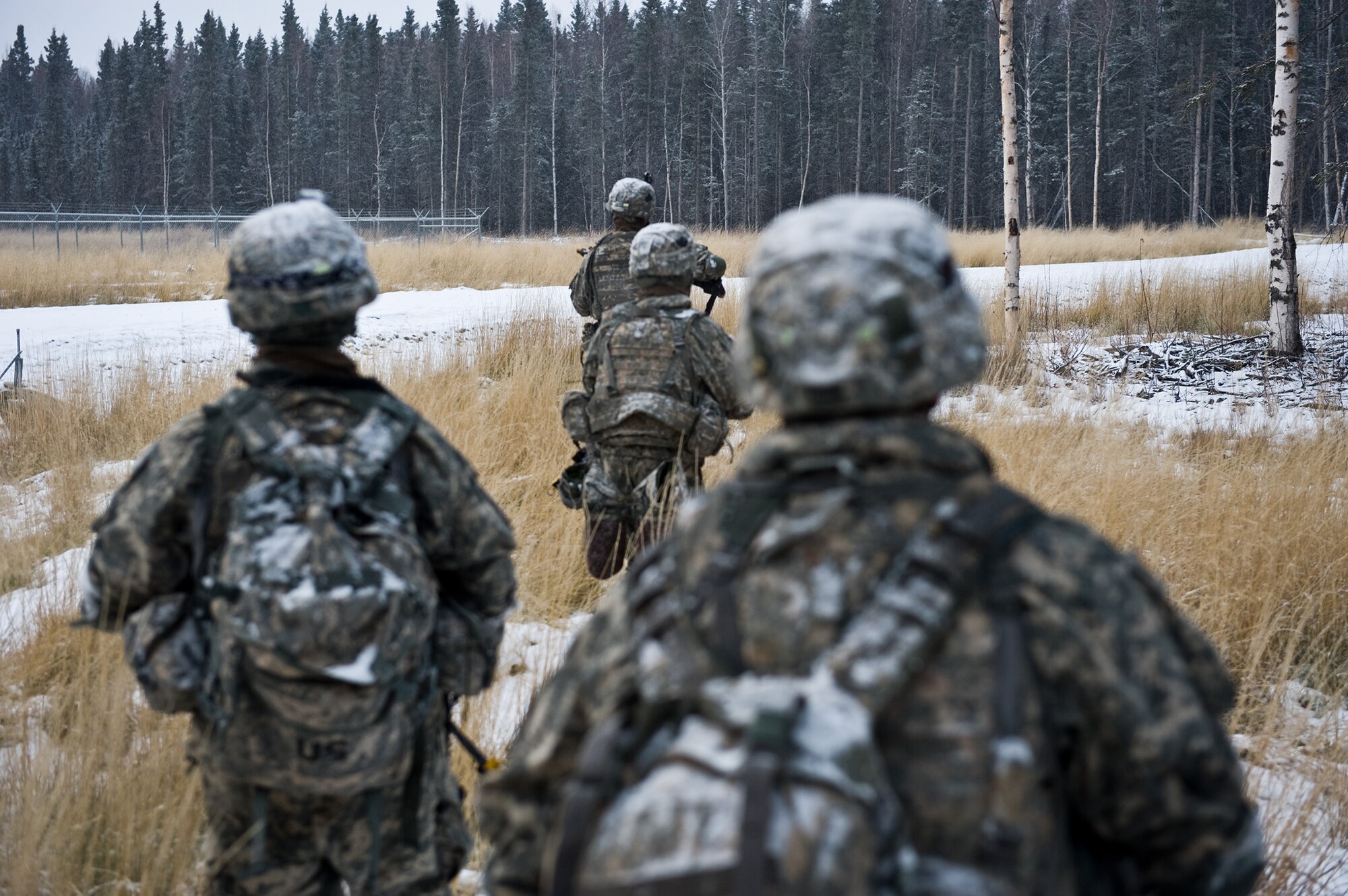 FORT GREELY, Alaska ? Soldiers of the 2nd Platoon, C Company, 1st Battalion, 501st Infantry Regiment (Airborne) make their way through the woods while on ?patrol? for a wanted suspect during a training exercise Oct. 29. Soldiers from the 501st IR participated in field-training exercises, with the first elements arriving to Donnelly Training Area, Fort Greely, Alaska Oct. 14 and the last of the Soldiers scheduled to leave Nov. 10. (U.S. Air Force photo/Airman 1st Class Christopher Gross)