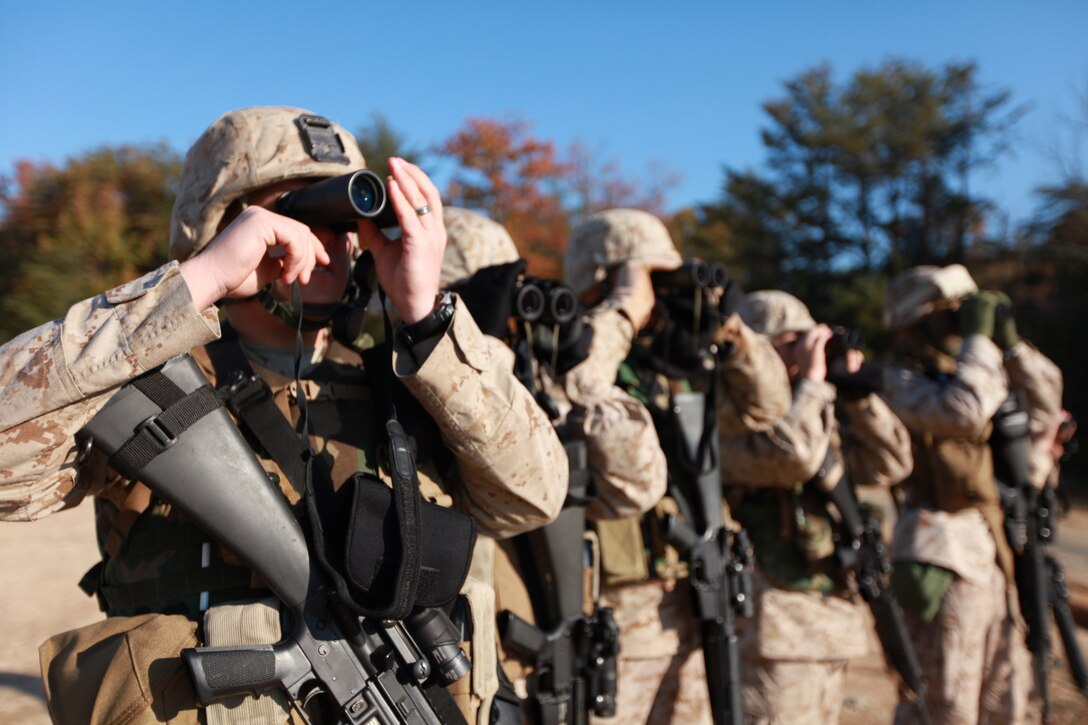 Marines with Provisional Security Platoon, 1st Supply Battalion, 4th Marine Logistics Group use binoculars to search for hidden improvised explosive devices during counter IED training Nov. 5.