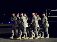 A U.S. Army carry team transfers the remains of Army Spc. James (Chad) Young of Rochester, Ill., at Dover Air Force Base, Del., Nov. 5, 2010.  He was assigned to the 863rd Engineer Battalion, Darien, Ill. (U.S. Air Force photo/Jason Minto)
