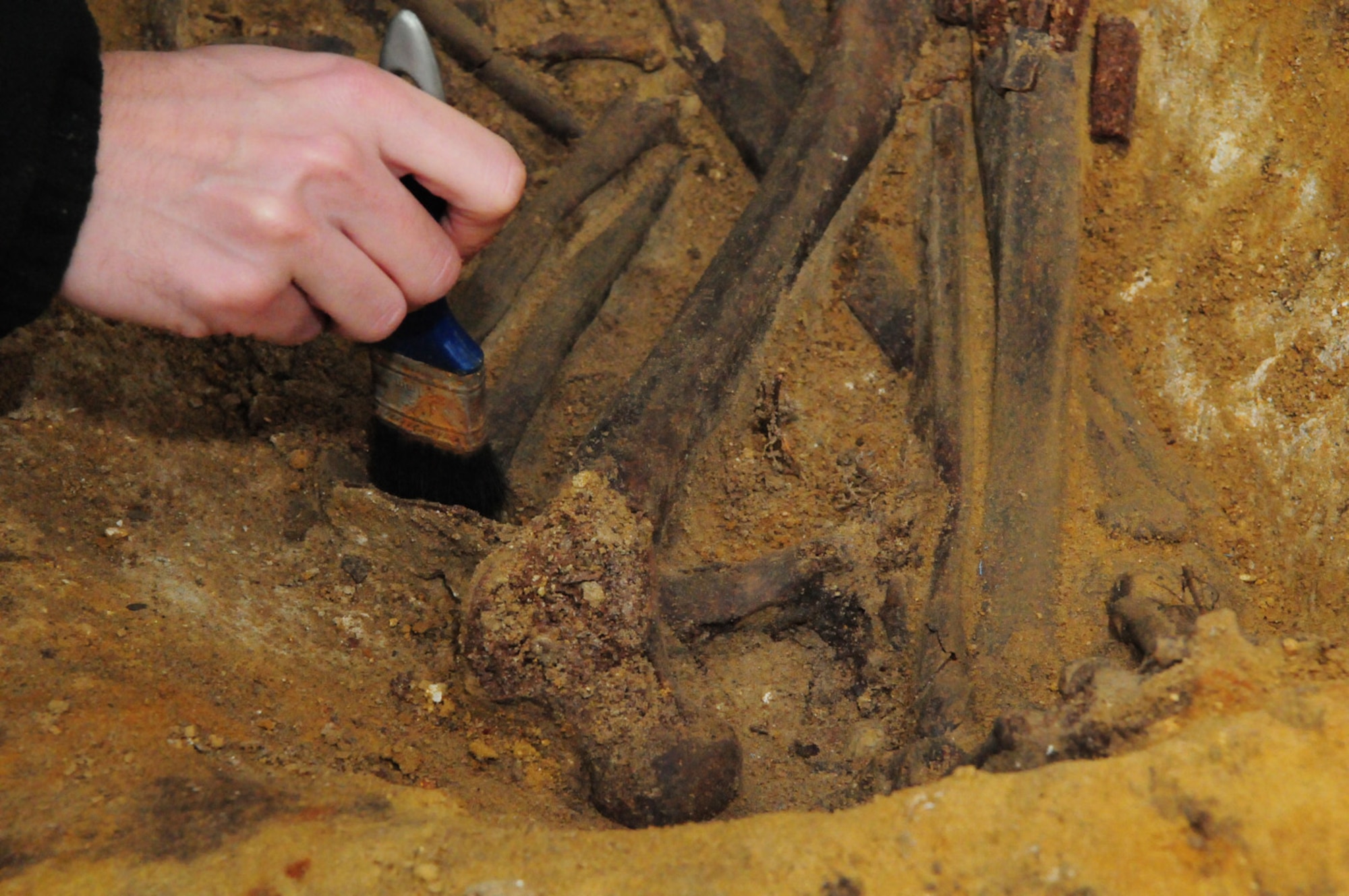 RAF MILDENHALL, England -- Rob Brooks, Suffolk County Council Archaeological Service, brushes away soil to expose more of a skeleton found here in October 2010. The artifacts have now been sent to the Archaeology Service in Bury St. Edmunds, and will then be sent on to a bone specialist in Scotland. (U.S. Air Force photo/Karen Abeyasekere)