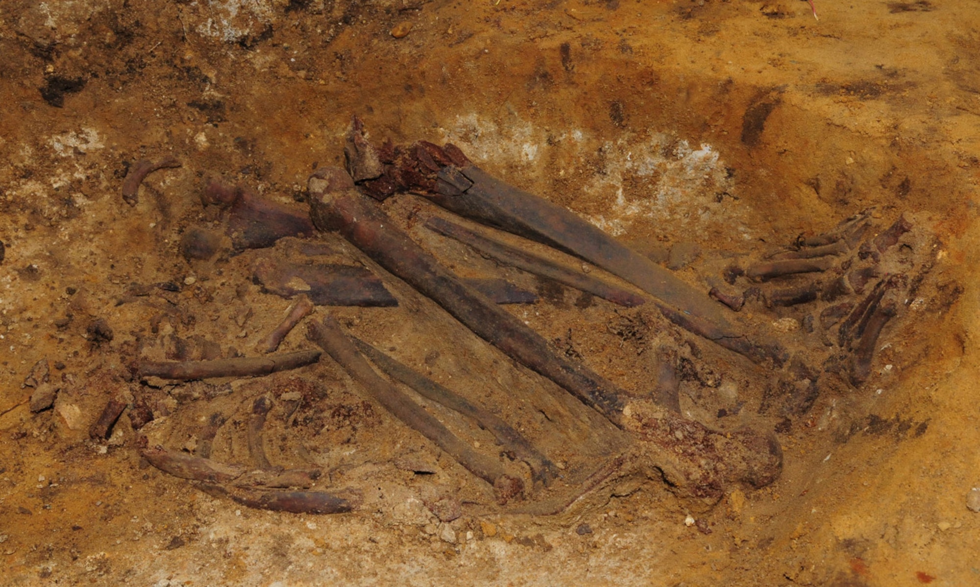 RAF MILDENHALL, England -- These are remains of the fourth skeleton found in October 2010 in Washington Square during a dig before the area is landscaped. They are all thought to be farmers or from a farming community. Three may be from the Iron Age and another possibly Roman. (U.S. Air Force photo/Karen Abeyasekere)