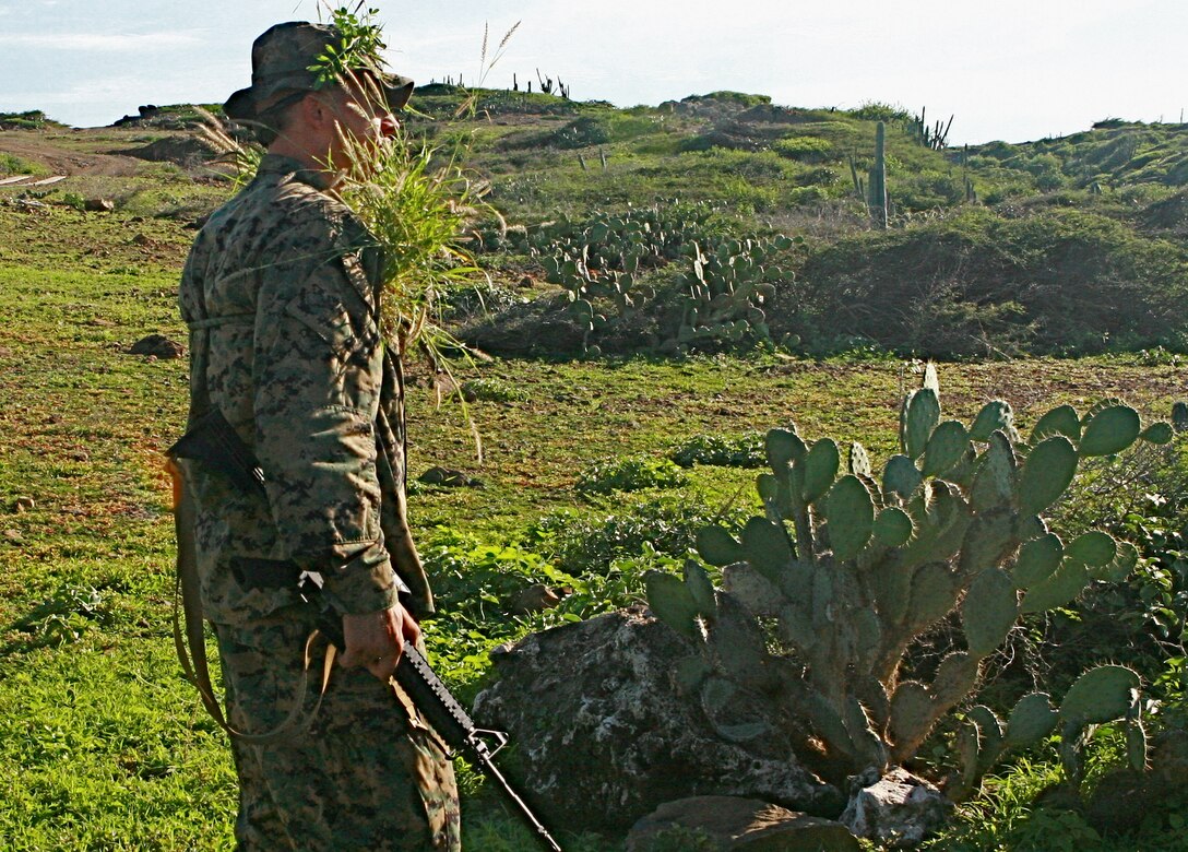 A Reconnaissance Marine of 2nd Platoon, Force Reconnaissance Company, II Marine Expeditionary Force, prepares for the stalking portion of the competition by disguising himself with vegetation in Aruba, Nov. 10, 2010. Stalking was the first part of the competition that the Marines competed in for a score.