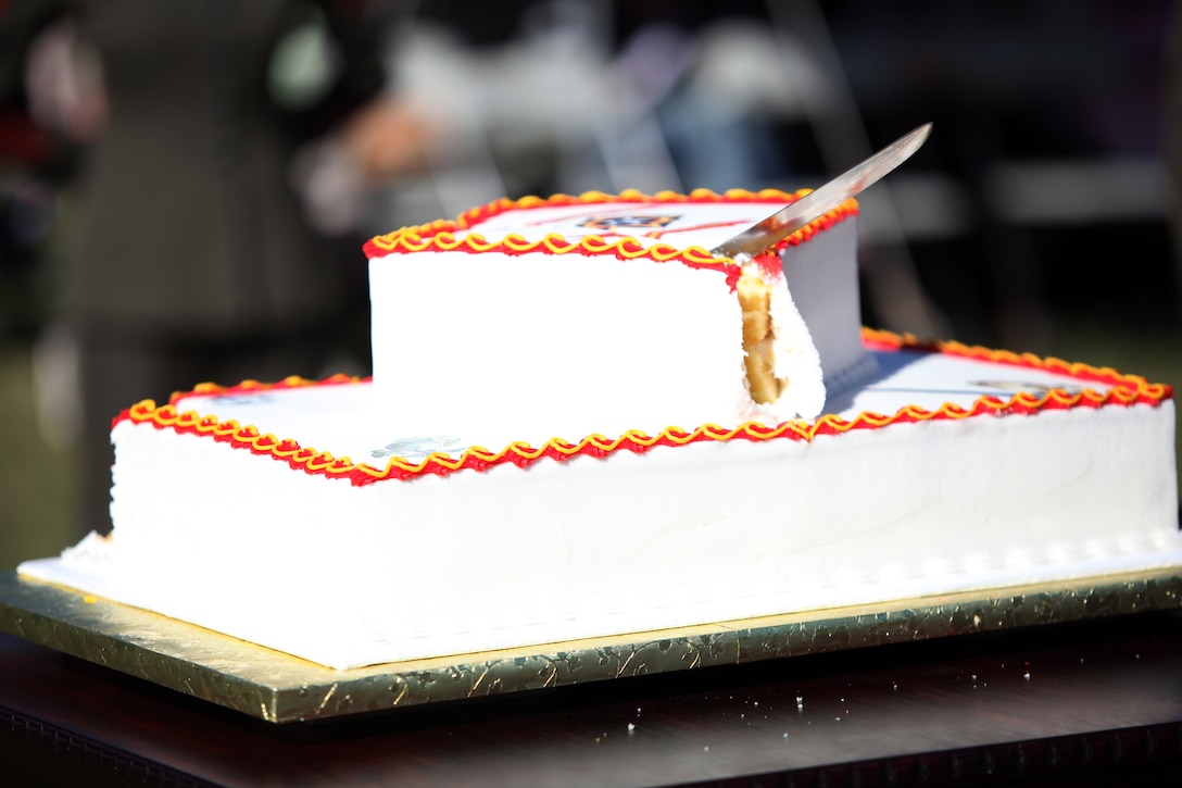 Lieutenant Col. Ralph Rizzo’s, commanding officer, Combat Logistics Battalion 6, 2nd Marine Logistics Group, sword sits in the middle of the cake after he ran it through during a cake cutting ceremony aboard Camp Lejeune, N.C., Nov. 10, 2010. The ceremony was held in honor of the Marine Corps’ 235th birthday. (U.S. Marine Corps photo by Pfc. Franklin E. Mercado)