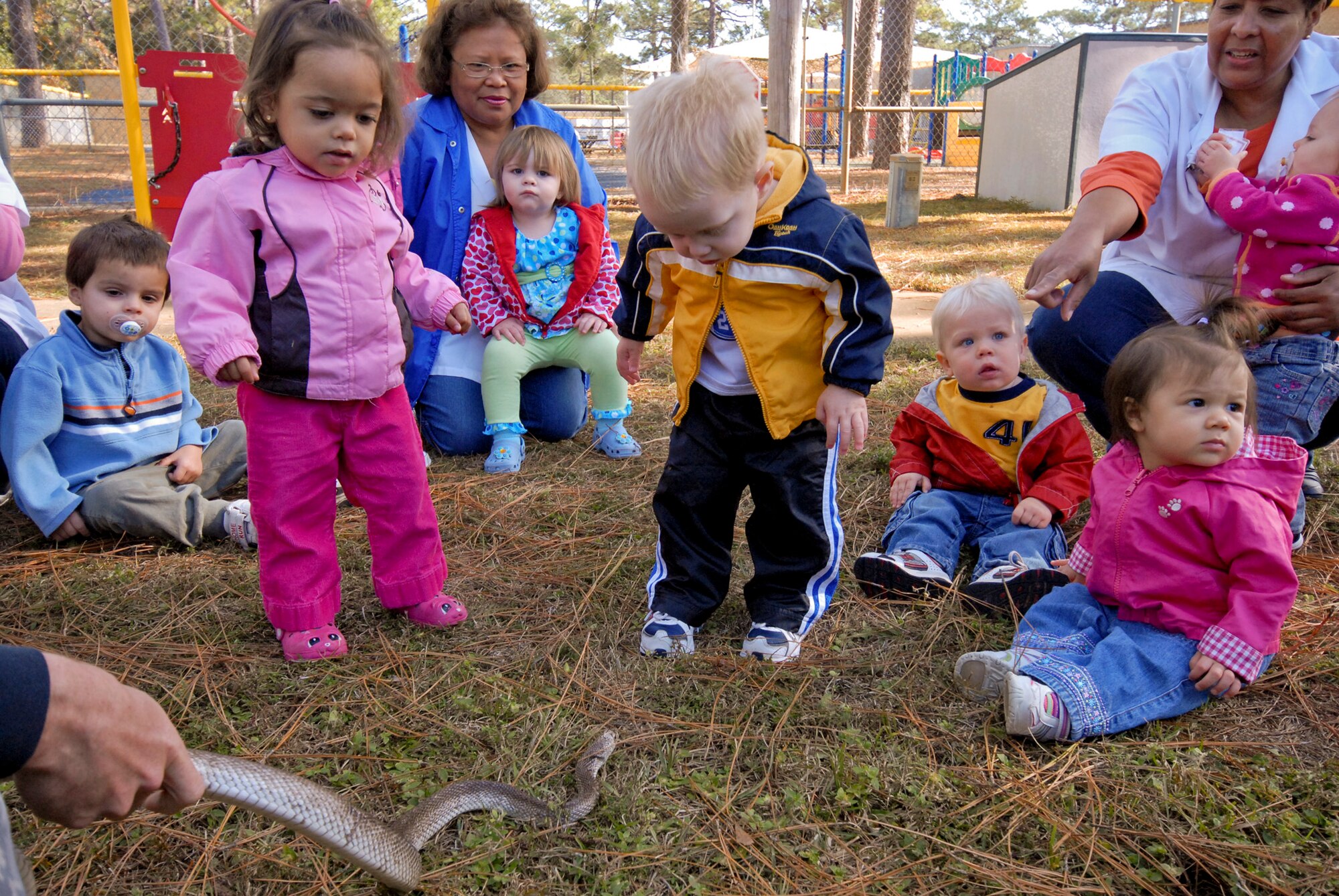 One-year-olds Dylan Cline and Jalynn Anderson get up close and personal with a 6th Ranger Training Battalion snake at the Child Development Center Fall Festival Nov.10. The annual festival celebrated the Month of Military Families. (U.S. Air Force photo/Sachel Seabrook)

