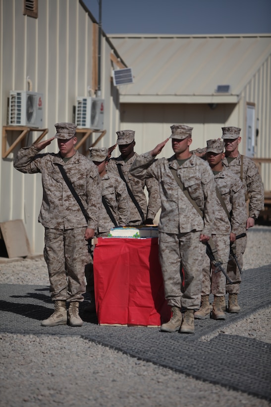 Marines from 1st Marine Logistics Group (Forward) salute during a cake-cutting ceremony held in honor of the United States Marine Corps' 235th birthday at Camp Leatherneck, Afghanistan, Nov. 10. More than 300 Marines celebrated with a reading of Gen. John A. Lejeune's birthday message, a message from the Commandant of the Marine Corps and a formal cake-cutting ceremony.