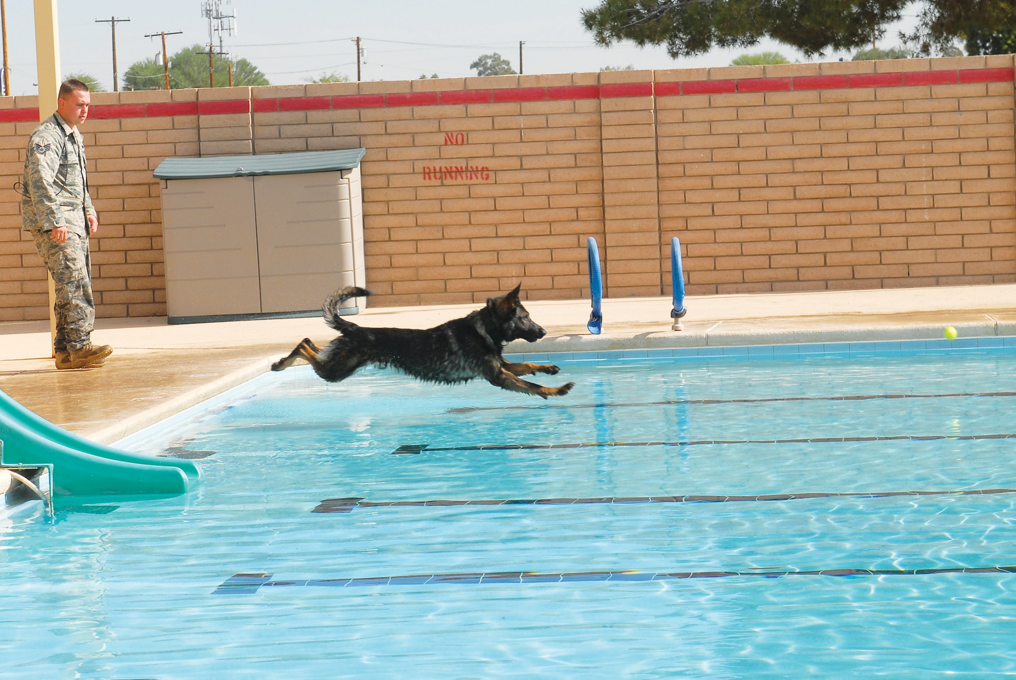 Staff Sgt. Kyle Alltop, 56th Security Forces Squadron military working dog handler and Chrach, military working dog, compete in the long-jump competition at Pet Palooza held at the Silver Wings Pool, Luke Air Force Base, Arizona. Each dog was scored according to their distance and form.  (U.S. Air Force photo/Senior Airman Tracie Forte)