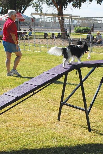 Pip, a papillion belonging to Susan Major of the Best Friends Dog Club of Sun City drill team, jumps over a hurdle November 6th during his demonstration of the annual Pet Palooza held at Silver Wings Pool, Luke Air Force Base, Arizona.  (U.S. Air Force photo/Senior Airman Tracie Forte)