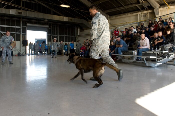 NELLIS AIR FORCE BASE, Nev.-- Senior Airman Rafael Baez, 99th Security Forces Squadron, guides his military working dog, Chester through a demonstration for local Las Vegas students and their families during Flightline Frenzy, Nov. 12, 2010. The demonstration was  part of the 2010 Aviation Nation Nellis Open House. (U.S. Air Force Photo by Airman 1st Class Jamie Nicley)(Released)
