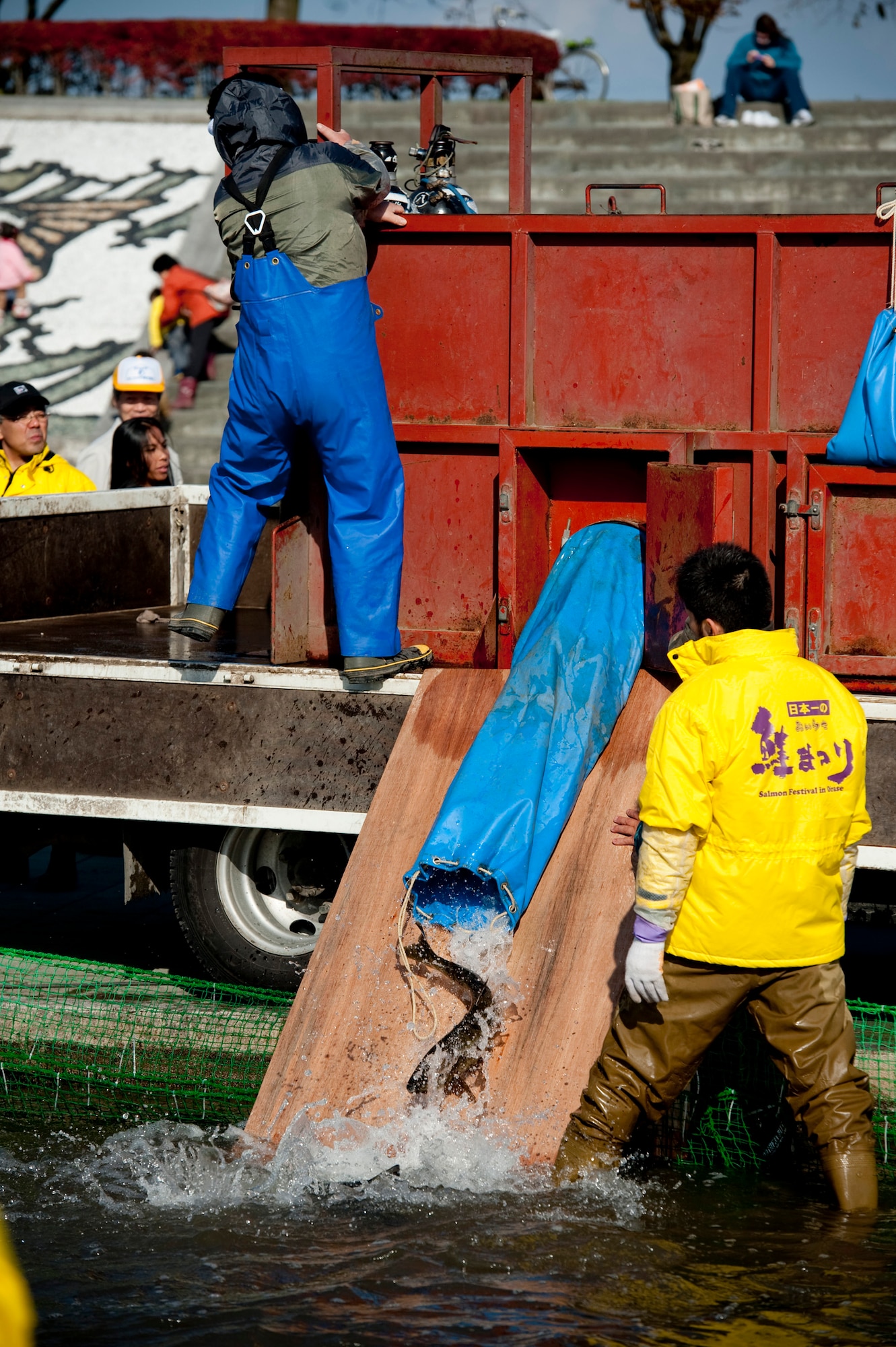 Oirase Salmon Catching Festival staff members release extra salmon into the wading pool at Salmon Park, Oirase, Japan, Nov. 13, 2010, during the festival. Staff members kept the wading pool full of live salmon from the river for participants to catch. (U.S. Air Force photo by Staff Sgt. Samuel Morse/Released)