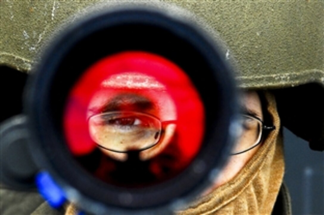 U.S. Navy Petty Officer 2nd Class Anthony Chenoweth looks through the sight of a Mk-38 25 mm gun during a training exercise aboard the forward deployed amphibious assault ship USS Essex in the Indian Ocean, Nov. 12, 2010.