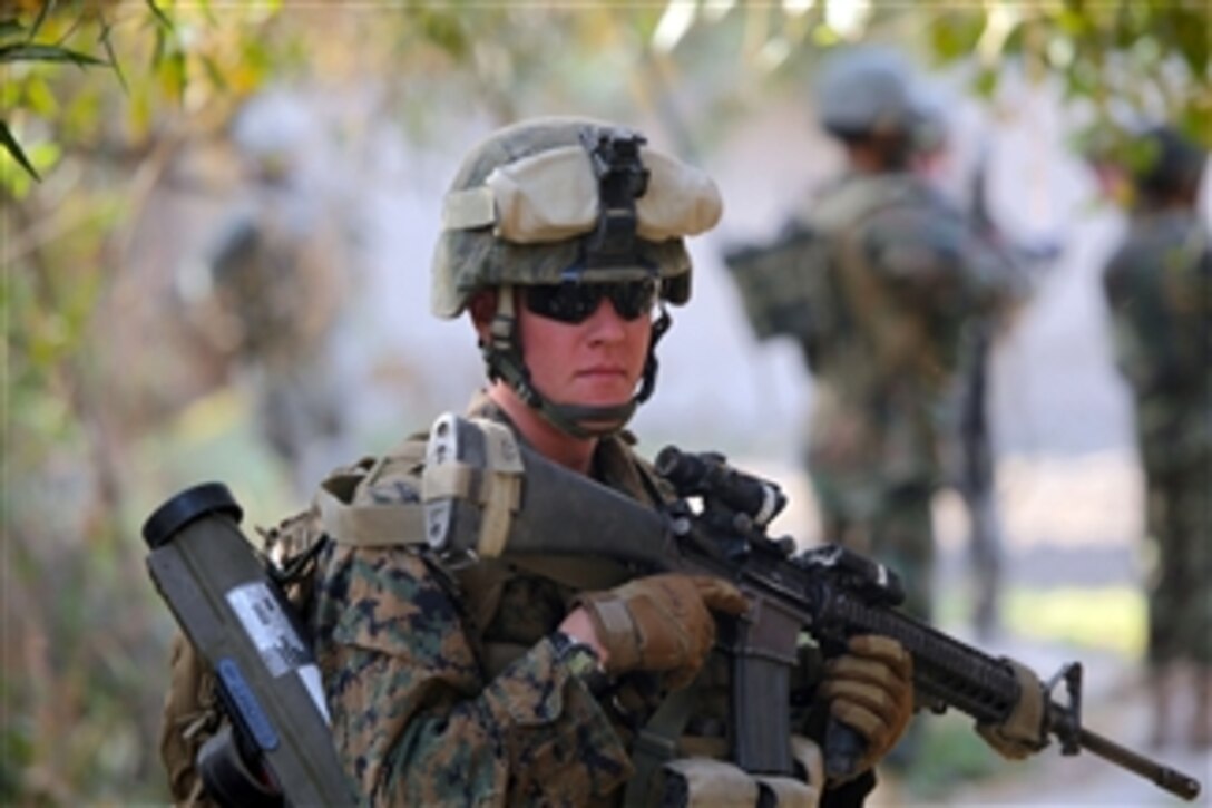 U.S. Marine Corps Lance Cpl. Chase Pappas, with India Company, 3rd Battalion, 5th Marine Regiment, conducts a security patrol in Sangin Valley, Afghanistan, on Nov. 5, 2010.  Marines conduct security patrols to decrease insurgent activity and gain the trust of Afghan citizens.  The battalion was one of the combat elements of Regimental Combat Team 2, whose mission was to conduct counterinsurgency operations in partnership with the International Security Assistance Force.  