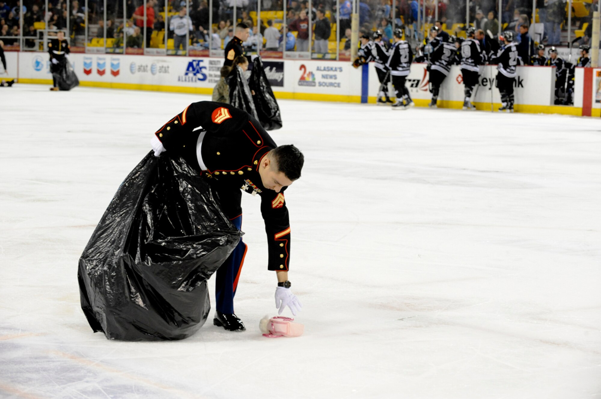 ANCHORAGE, Alaska --  Marine Corps Corporal Jason Johannen, picks up stuffed toys after the first goal of the Alaska Aces during the military appreciation game here, Nov. 12. The "Bear Toss" is one of the biggest events for the Marines to collect toys for their Toys 4 Tots project. The toys collected will be delivered to remote villages around Alaska. (U.S. Air Force photo by Staff Sgt. Joshua Garcia)