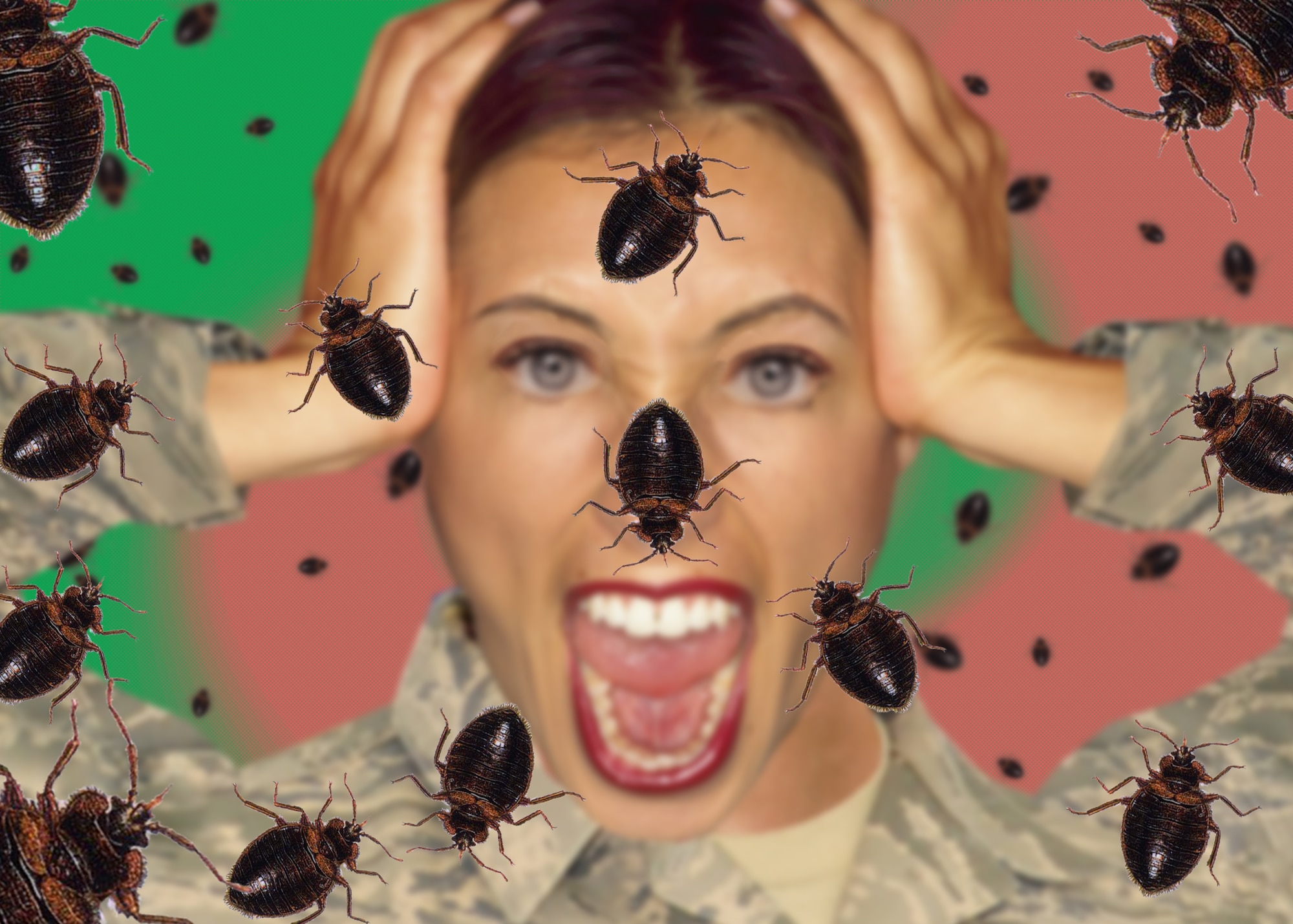 Bed bugs have upgraded their living quarters to upscale hotels, homes and military installations. This especially affects military members who travel and often stay in hotels or extended stays in military lodging.(U.S. Air Force graphic by Staff Sgt. Joseph McKee)