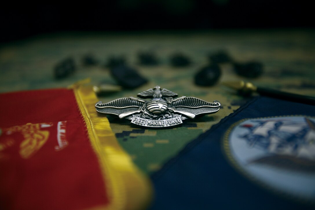 An eagle, globe and anchor stands out while crossed rifles encompass waves crashing upon sand. The eagle sits with outspread wings representing the nation it protects; the globe stands center showing the worldwide service, and the anchor shows the naval traditions.