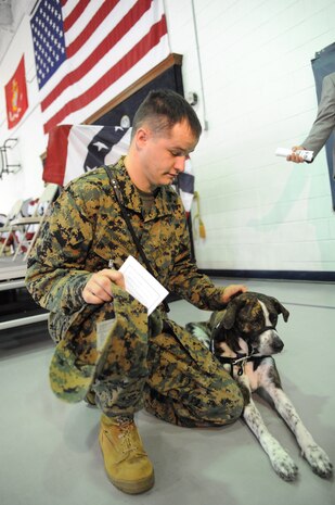 Marine Sgt. Brian Jarrell pets his dog "Jada" after officially being presented with her as part of the Service Dog Program while at the Naval Consolidated Brig Charleston Nov. 18, 2010, on Joint Base Charleston-Weapons Station. Sergeant Jarrell was the first wounded veteran to be placed with a prisoner trained service dog through the Service Dog Program, which works in partnership with Carolina Canines for Service. The Carolina Canines for Service is a non-profit health and human services organization that trains service dogs for people with disabilities. Sergeant Jarrell is assigned to the Wounded Warrior Battalion-East aboard Marine Corps Base Camp Lejeune, N.C.(U.S. Air Force photo/James M. Bowman)