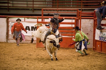 Investor Eyes Bull Riding Transformation