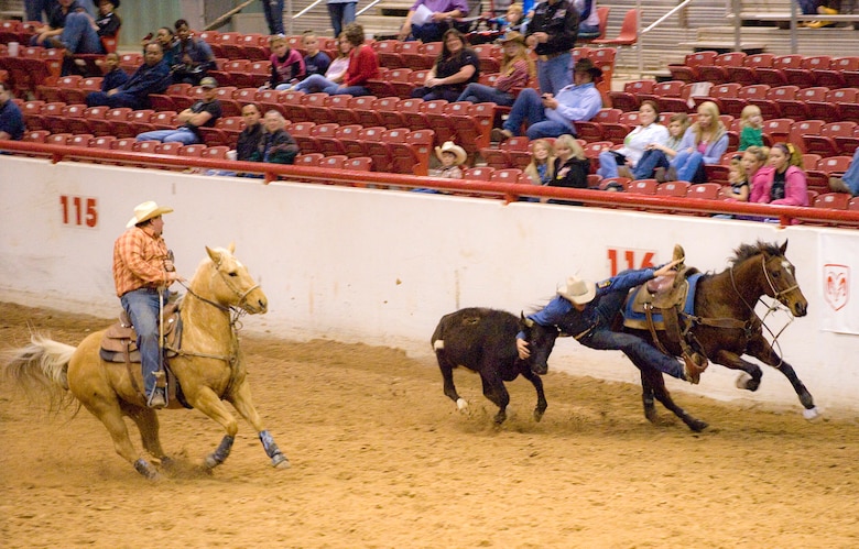 Craigslist team roping horses