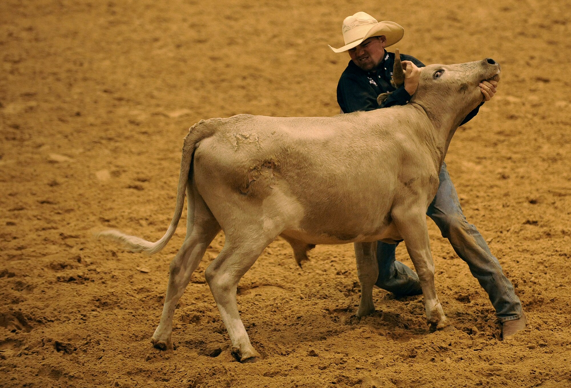 Staff Sgt. R.J. Eppers tries to wrestle a steer during the chute dogging competition at the Professional Armed Forces Rodeo Associations World Finals Nov. 20, 2010, in Glen Rose, Texas. PAFRA is a professional rodeo organization founded and comprised of military members, retirees, dependents, veterans and civilian Department of Defense card holders. (U.S. Air Force photo/Tech. Sgt. Bennie J. Davis III)