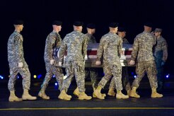 A U.S. Army carry team transfers the remains of Army Spc. Nathan E. Lillard, of Knoxville, Tenn., at Dover Air Force Base, Del., Nov. 16, 2010. Lillard was assigned to the 1st Battalion, 327th Infantry Regiment, 1st Brigade Combat Team, 101st Airborne Division (Air Assault), Fort Campbell, Ky. (U.S. Air Force photo/Roland Balik)
