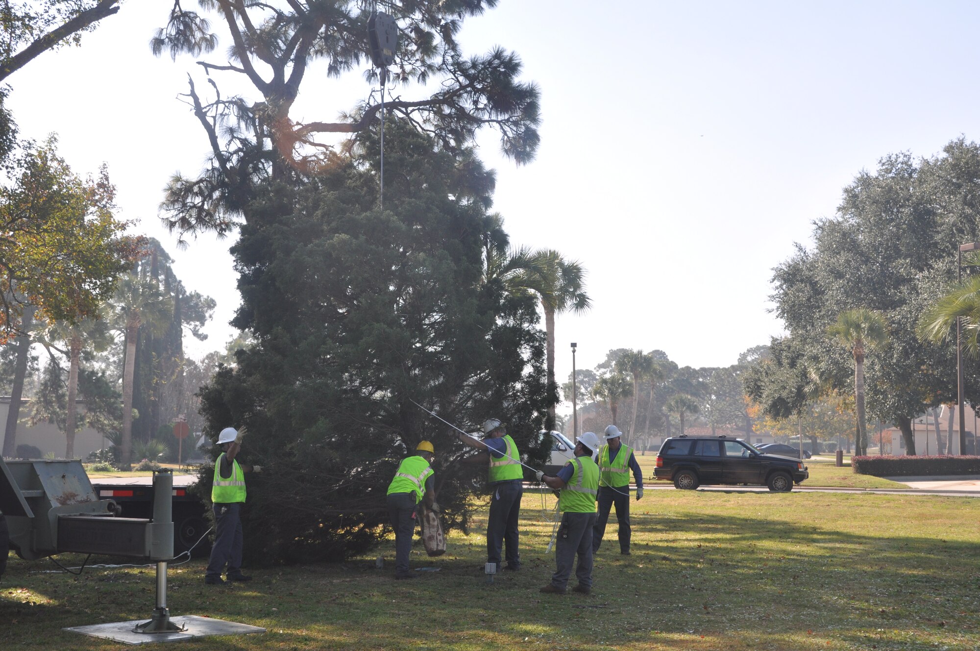 Representatives from Chugach/Del-Jen base operational support and the 325th Civil Engineer Squadron install the selected tree for the holiday season Nov. 23 at Flag Park. The tree will be used in the annual Christmas tree lighting Dec. 2 at 5 p.m.    (U.S. Air Force photo/Senior Airman Veronica McMahon)