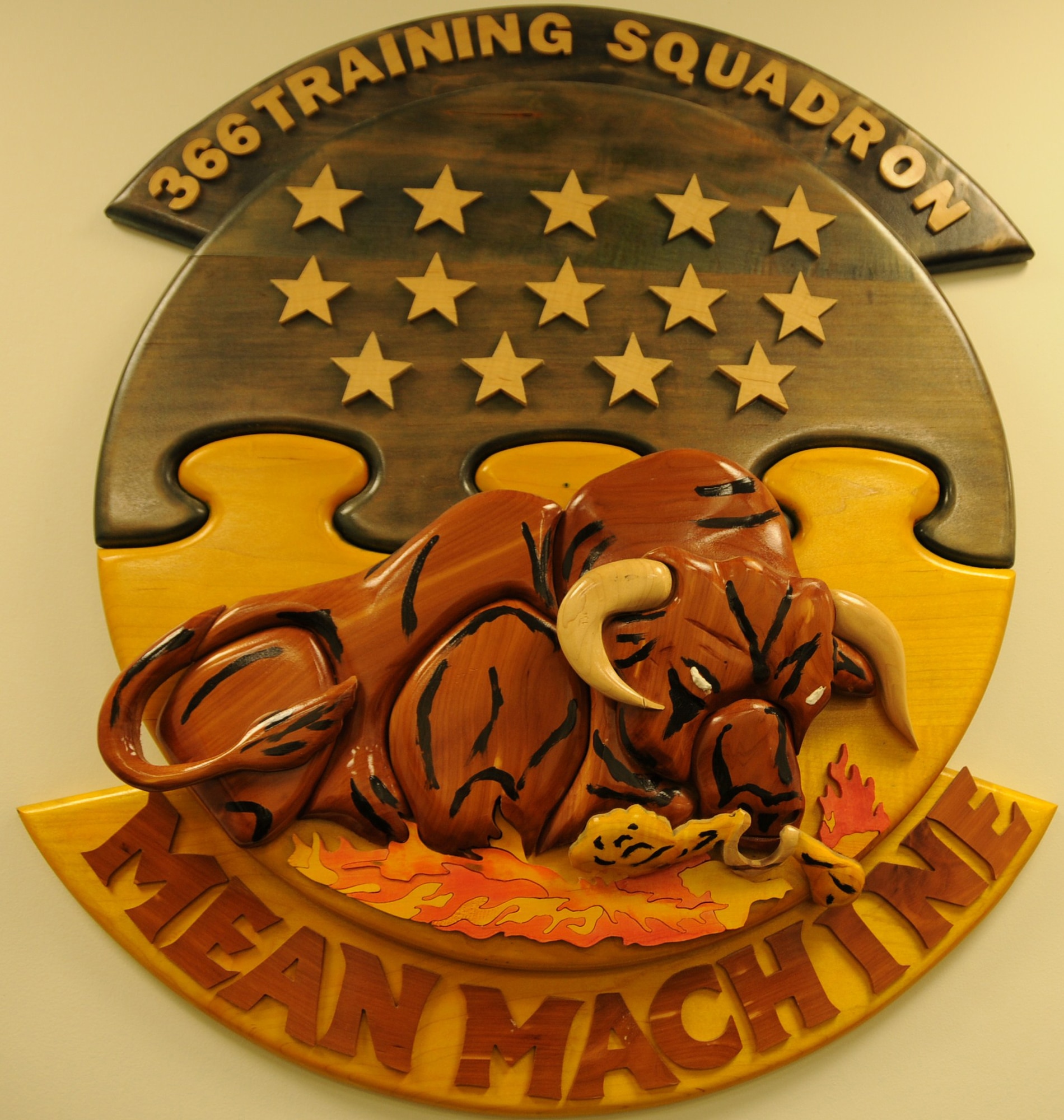 The 366th Training Squadron's hand made emblem. (Photo By Airman 1st Class Heather Holcomb)