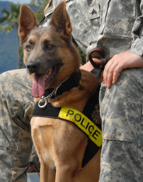 Thirty-nine handlers from the U.S. Army, U.S. Navy, U.S. Marine Corps, U.S. Air Force and Honolulu Police Department, as well as from Japan and Alaska, brought their K-9s to the 2010 Hawaiian Islands Working Dog Competition Nov. 15 to 19 at Schofield Barracks, Hawaii. (U.S. Air Force photo/Staff Sgt. Carolyn Viss) 