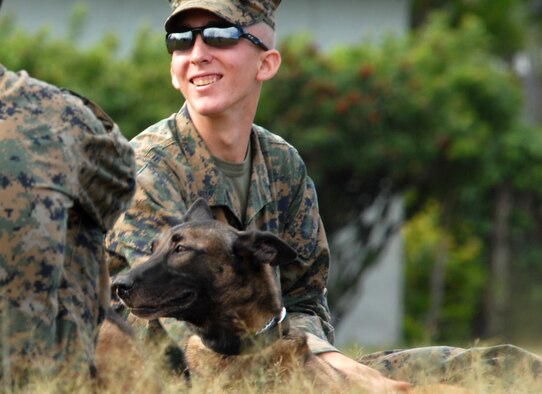 Thirty-nine handlers from the U.S. Army, U.S. Navy, U.S. Marine Corps, U.S. Air Force and Honolulu Police Department, as well as from Japan and Alaska, brought their K-9s to the 2010 Hawaiian Islands Working Dog Competition Nov. 15 to 19 at Schofield Barracks, Hawaii. (U.S. Air Force photo/Staff Sgt. Carolyn Viss) 